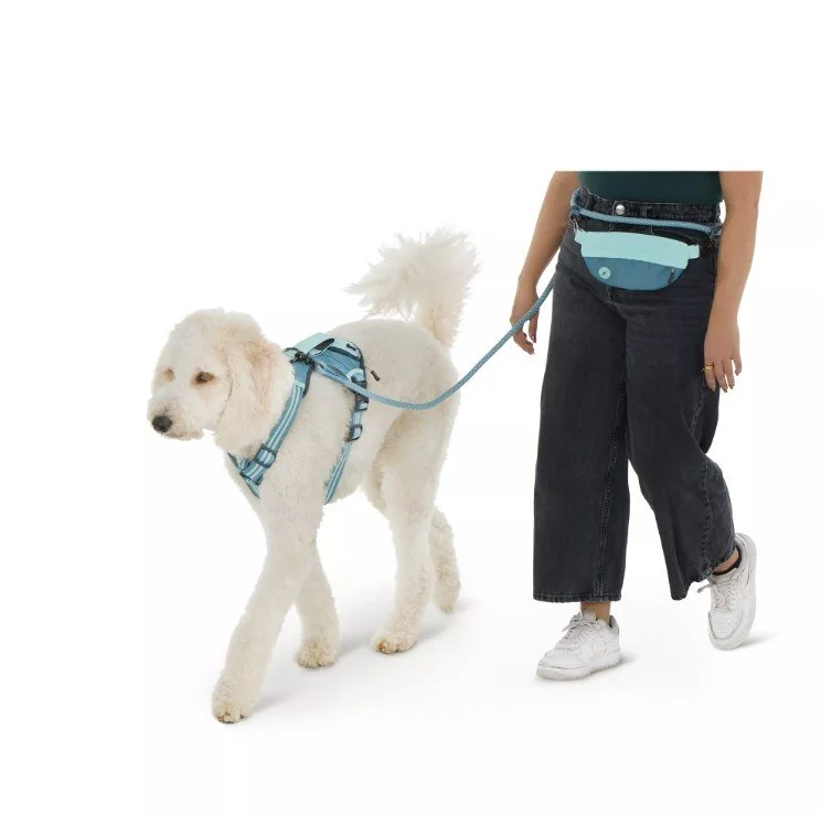 dog collar top paw comfort harness xs