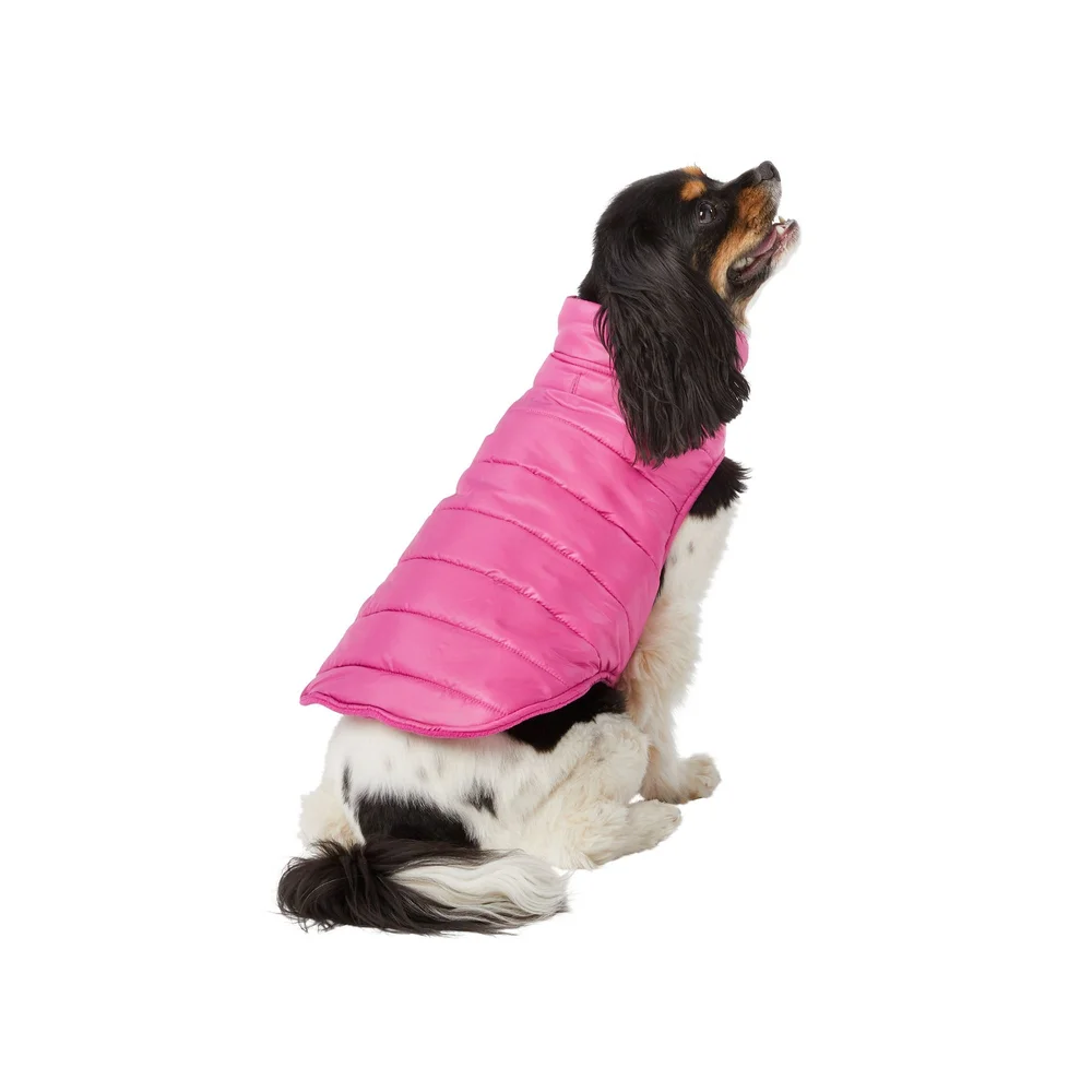 Dog Jacket: Keep Your Pup Cozy and Stylish