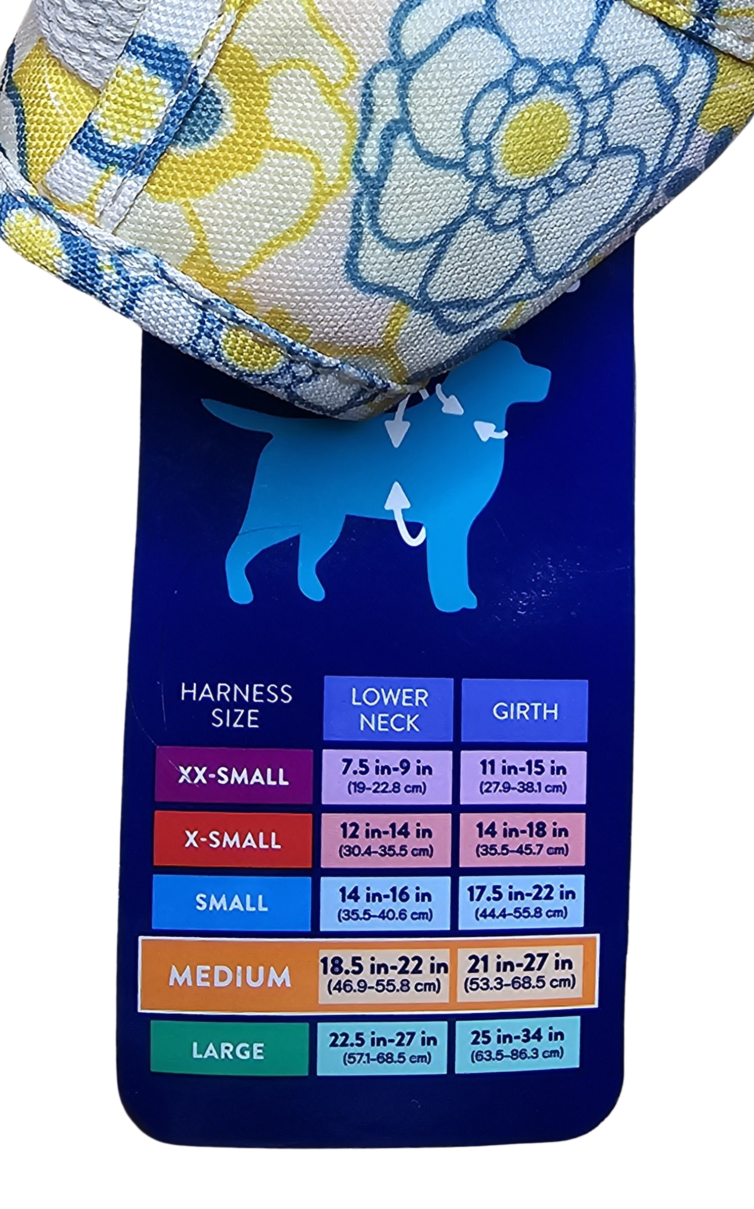 Untitled design (1).png