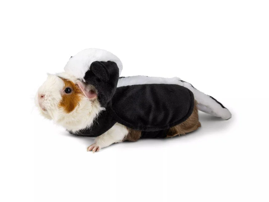 Screenshot 2025-03-02 162439.jpg