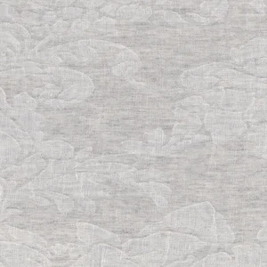 image-asset.jpg
