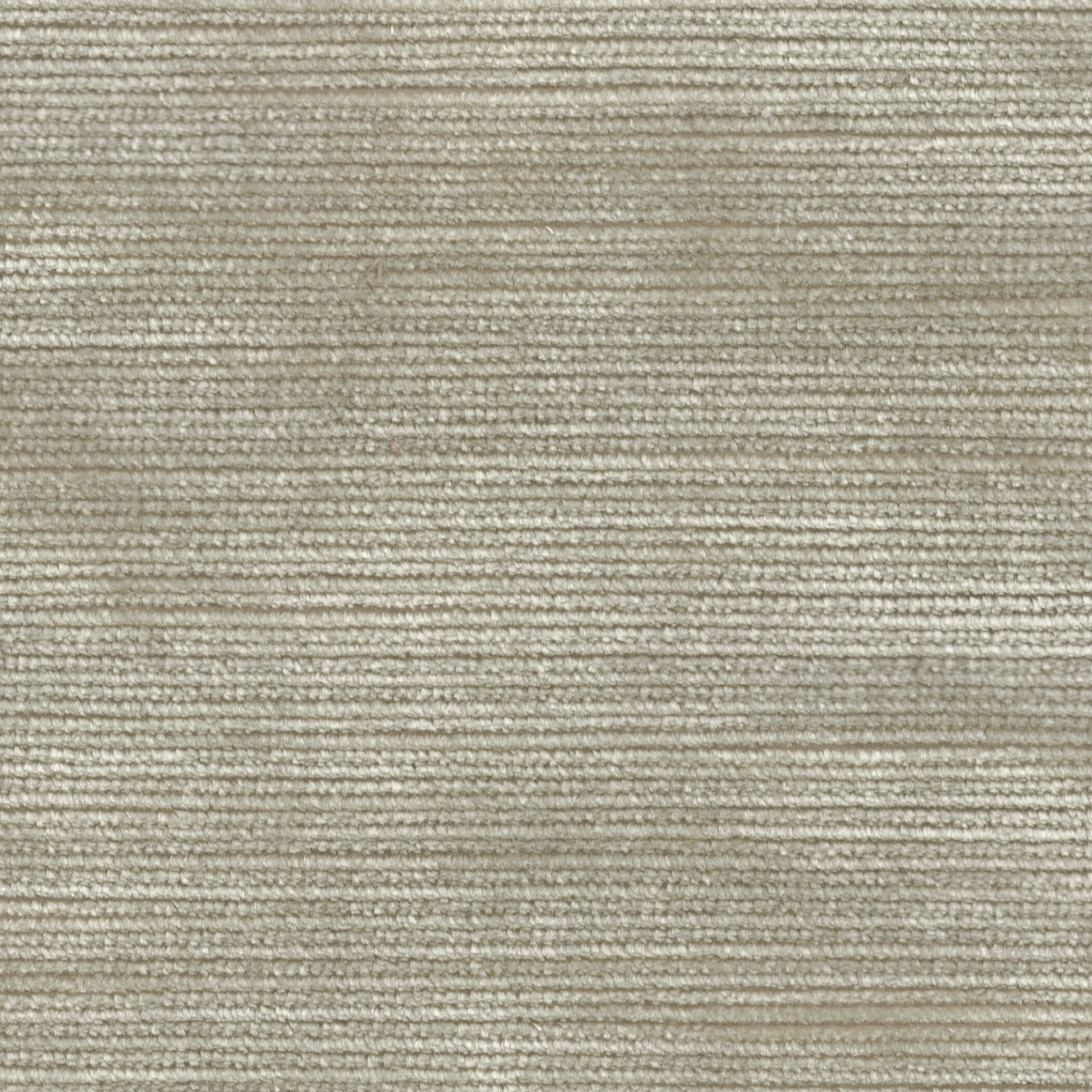 Electra Sand Dollar