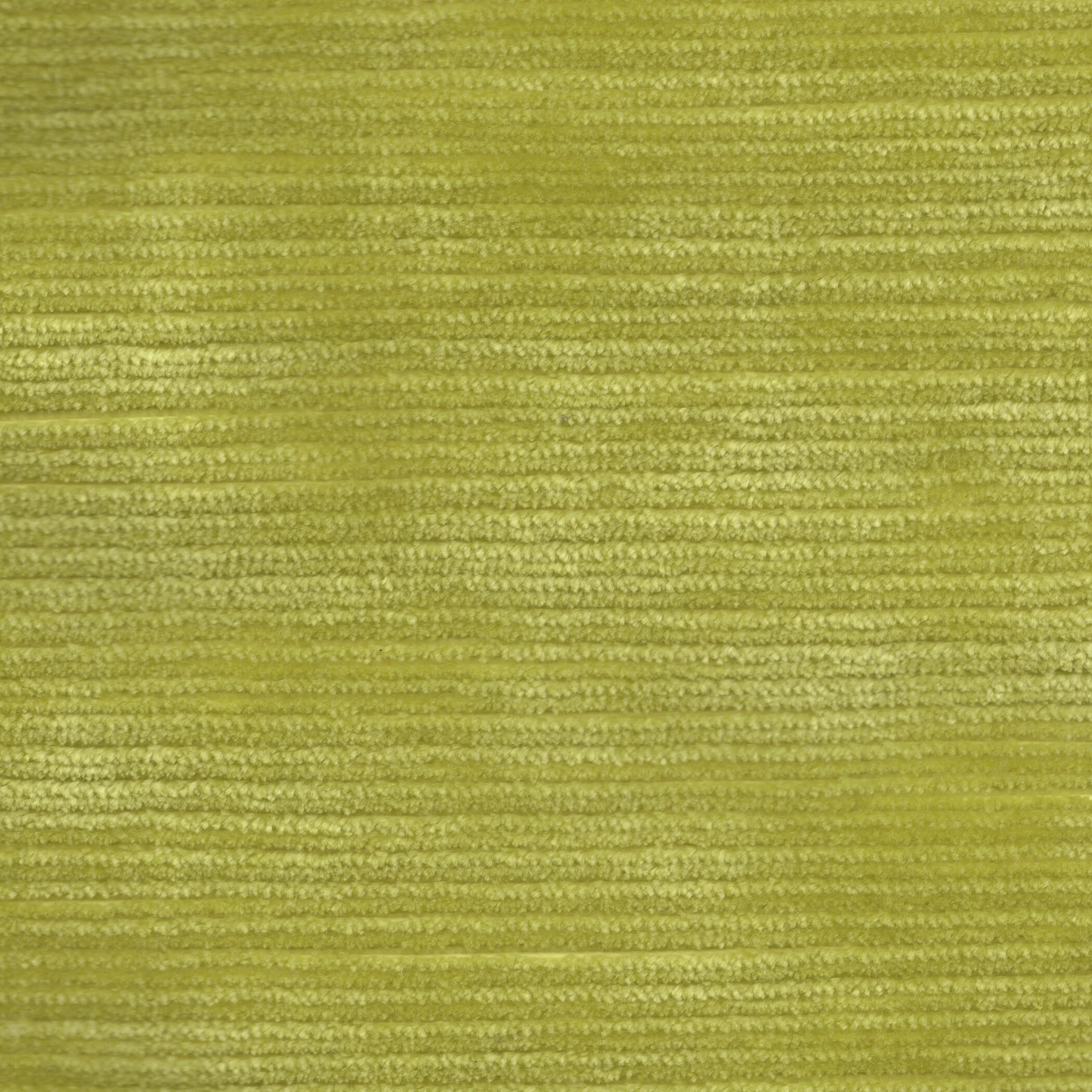 Electra Green Endive