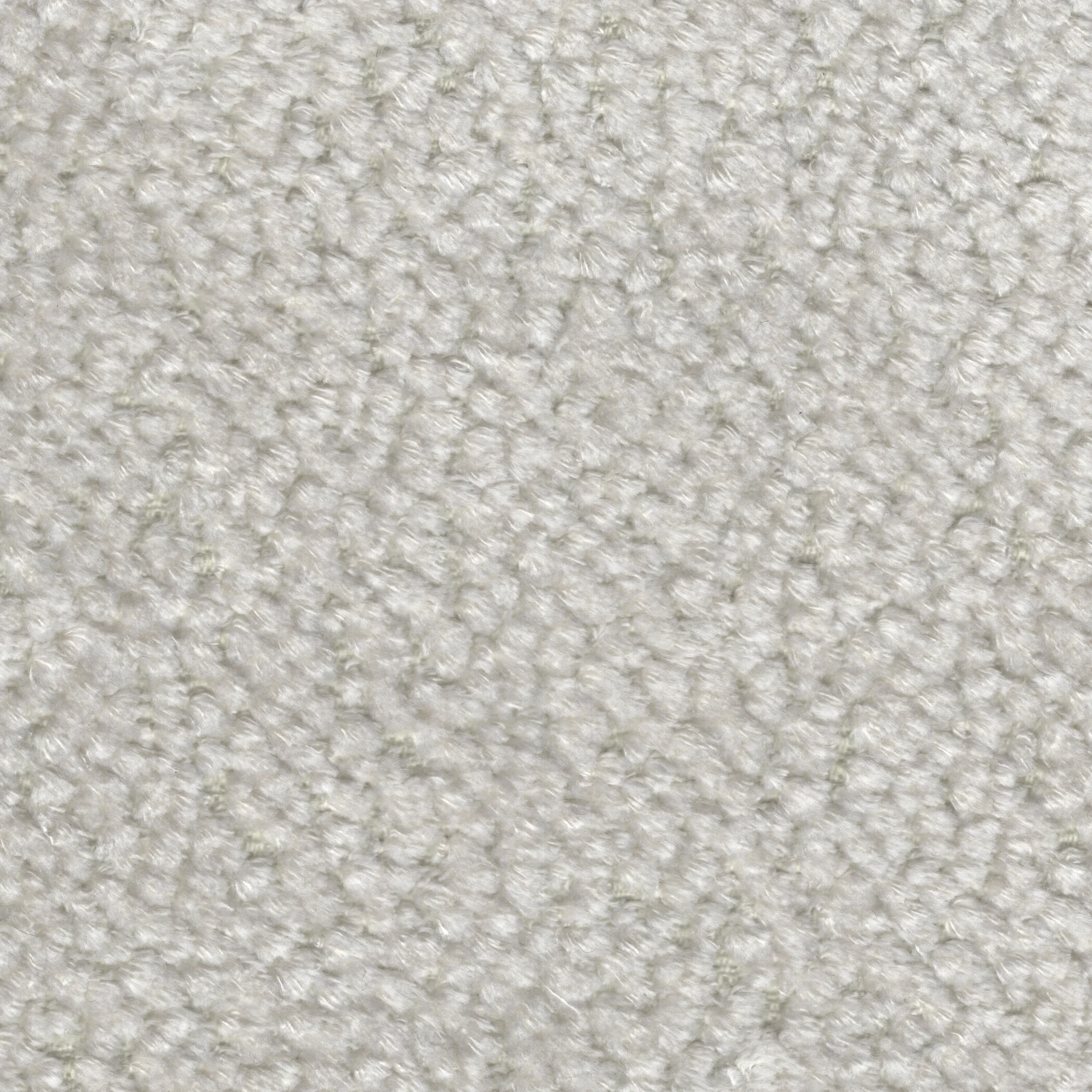 Alpine_Cream.jpg