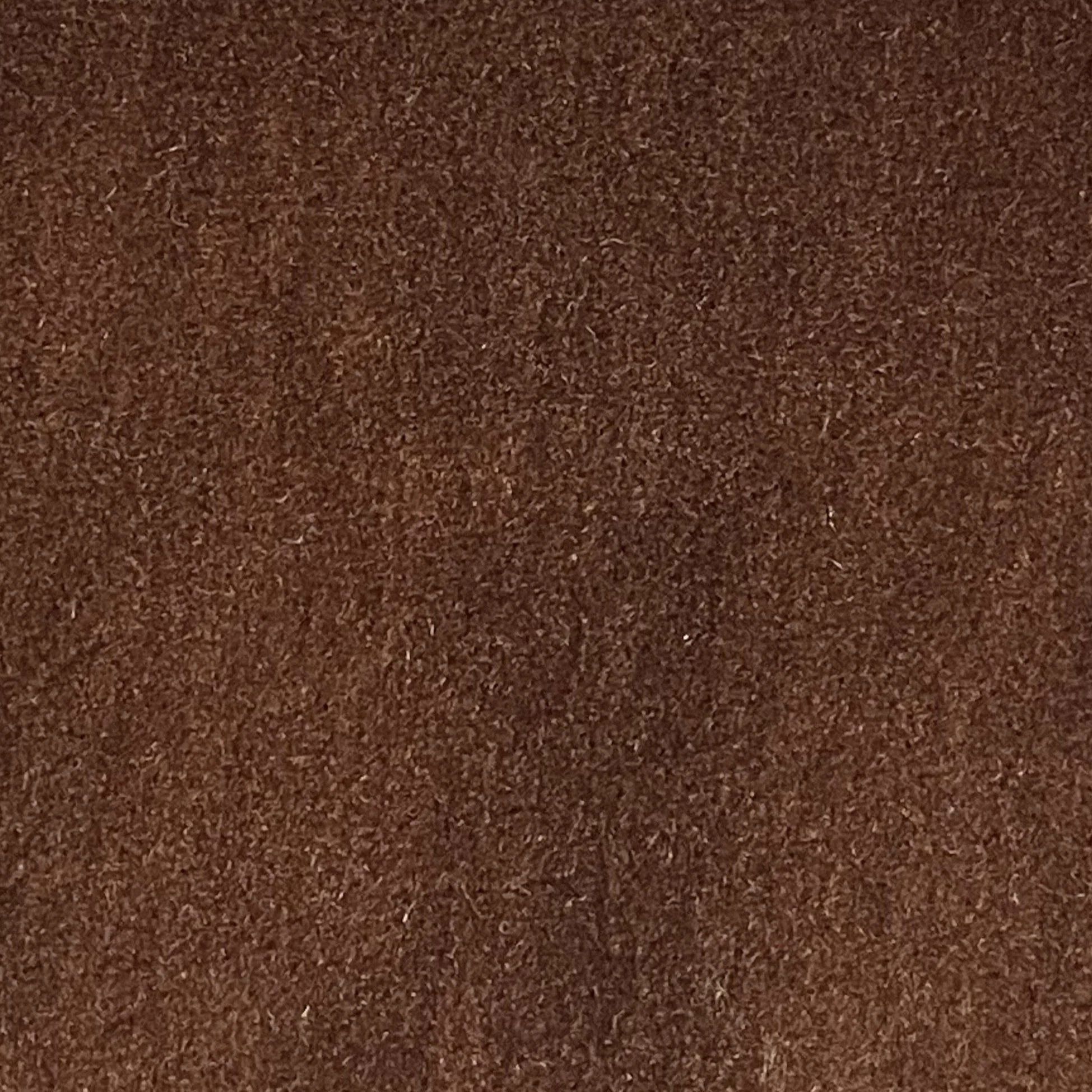 Walnut.jpg