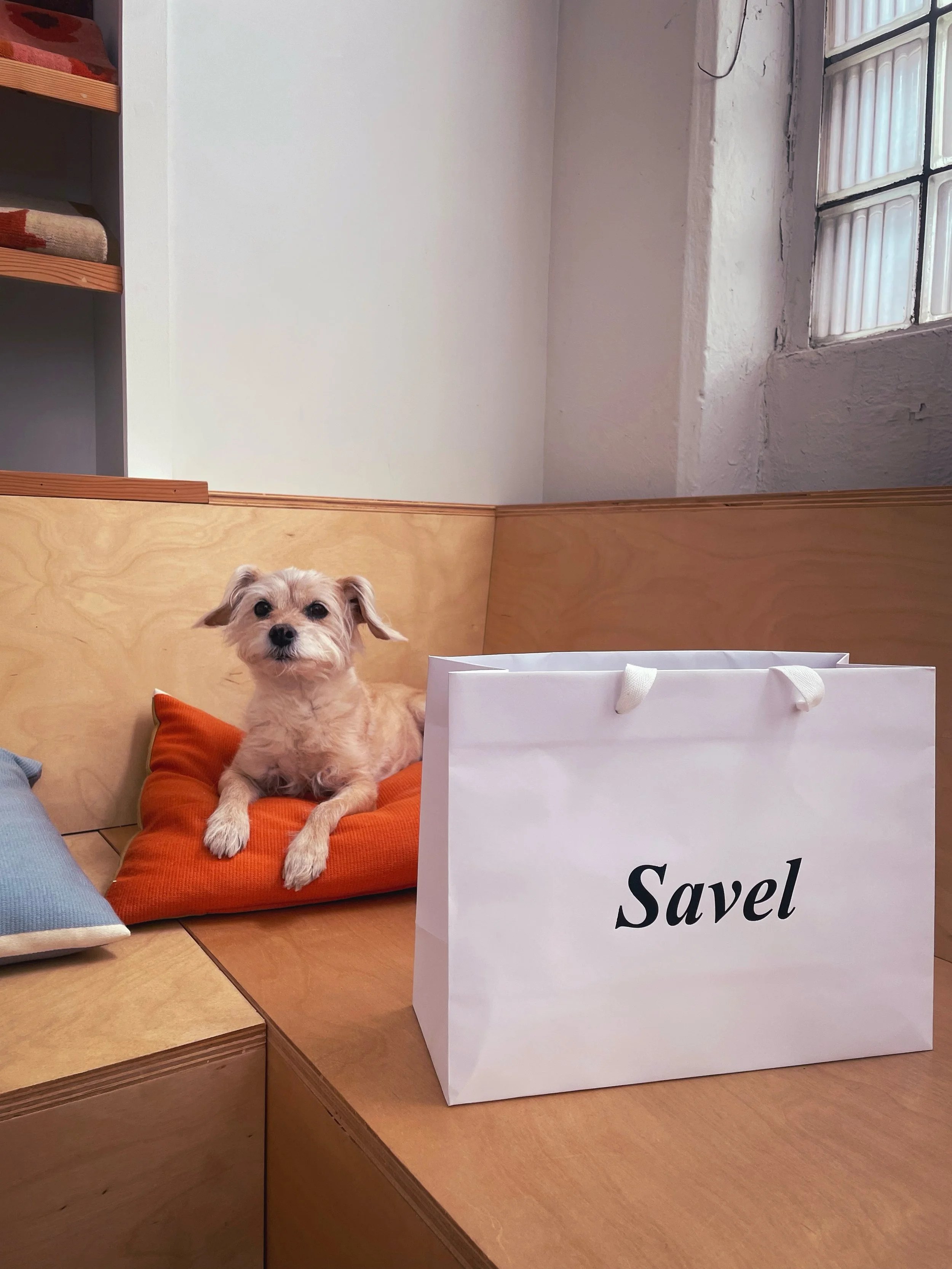 Now that&rsquo;s a pup with good taste. 🛍️ 🙌

📷 @samplehouse.nyc 

#dogsofinstagram #shopping #cutepuppies #luxuryinteriordesign #interiordesignshowroom