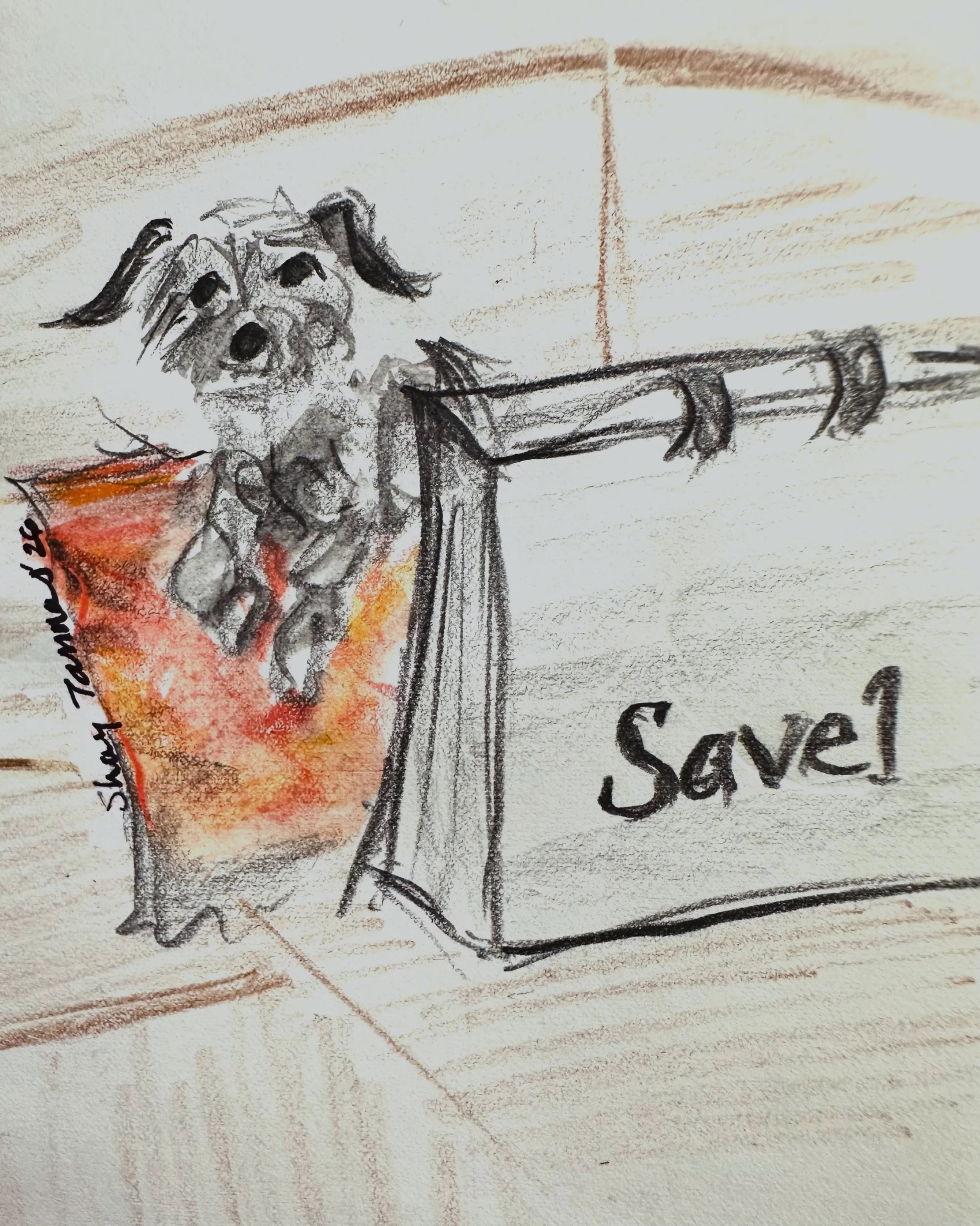 🐕 Fetch-ing taste, if we dare say so ourselves.

Drawing by @texasdogdoodler 
Location @samplehouse.nyc 

#dogsofinstagram #dogart #dog #drawing #illustration tration