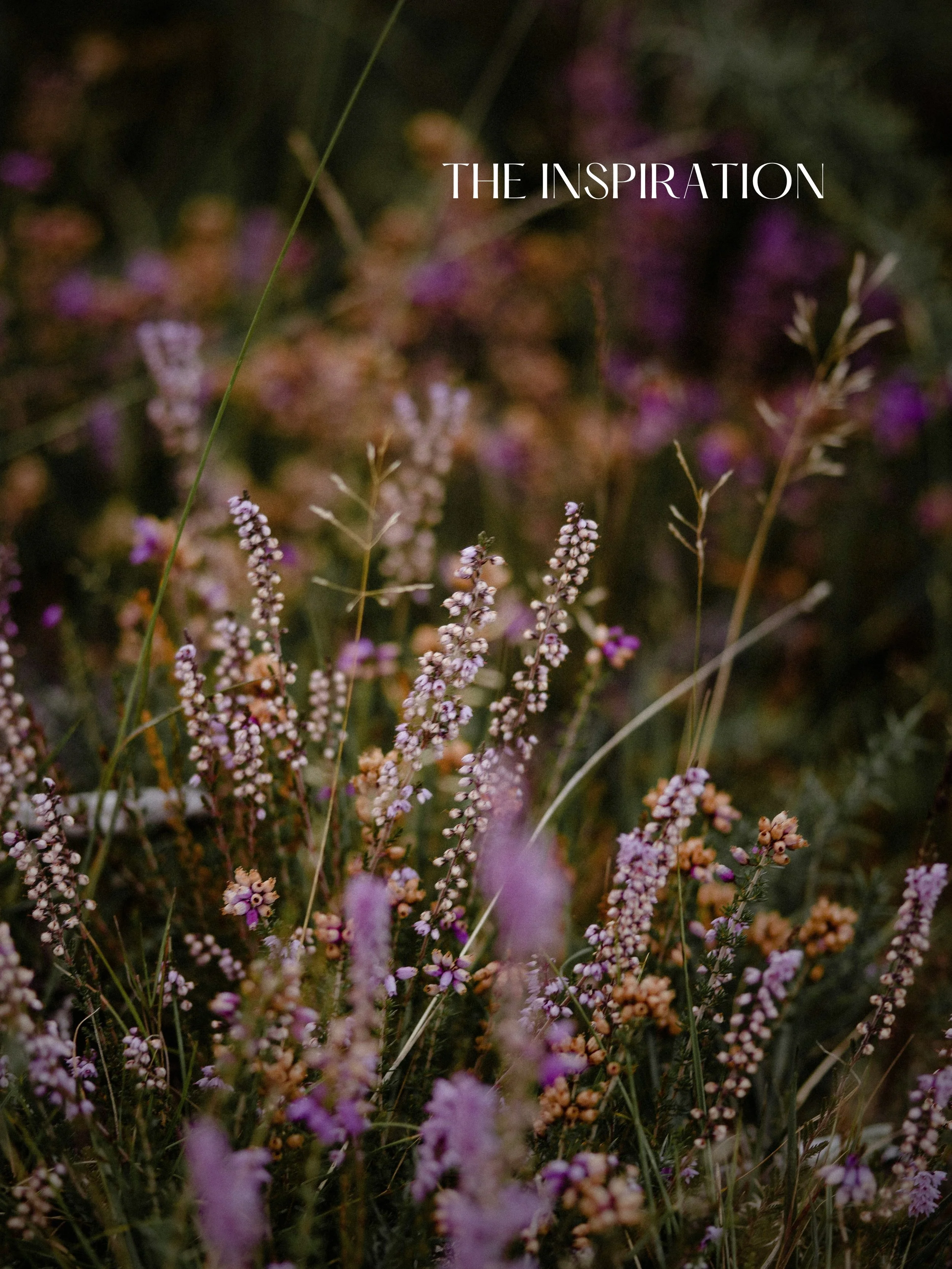 When nature is your inspiration, the result can be nothing less than spectacular. What are your favorite color combinations inspired by nature? Comment below ⬇️ 

#inspiredbynature #purpleandgreen #greenandpurple #interiordesign #colorcombination
