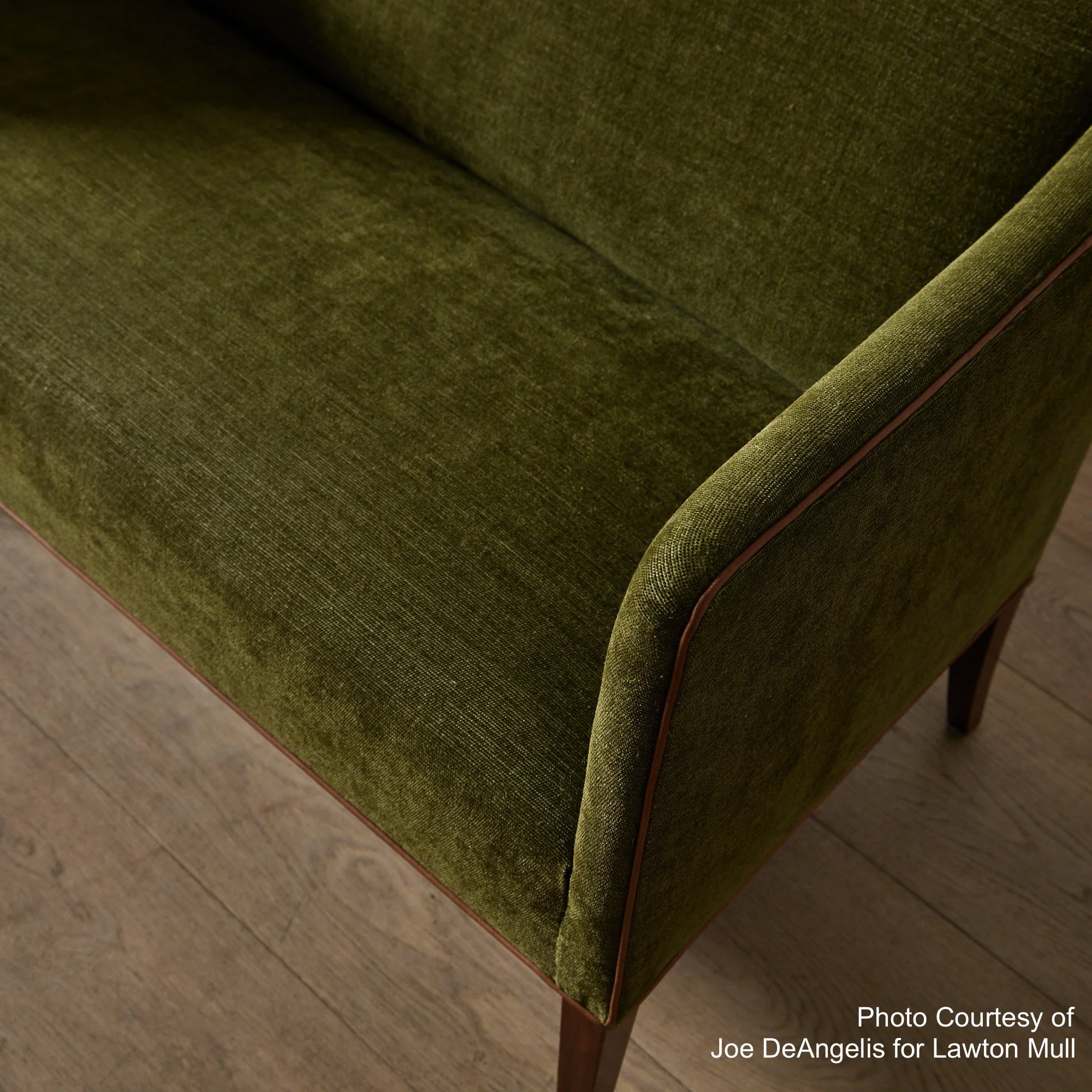 Trevi Olive, Savel x Lawton Mull 1.jpeg