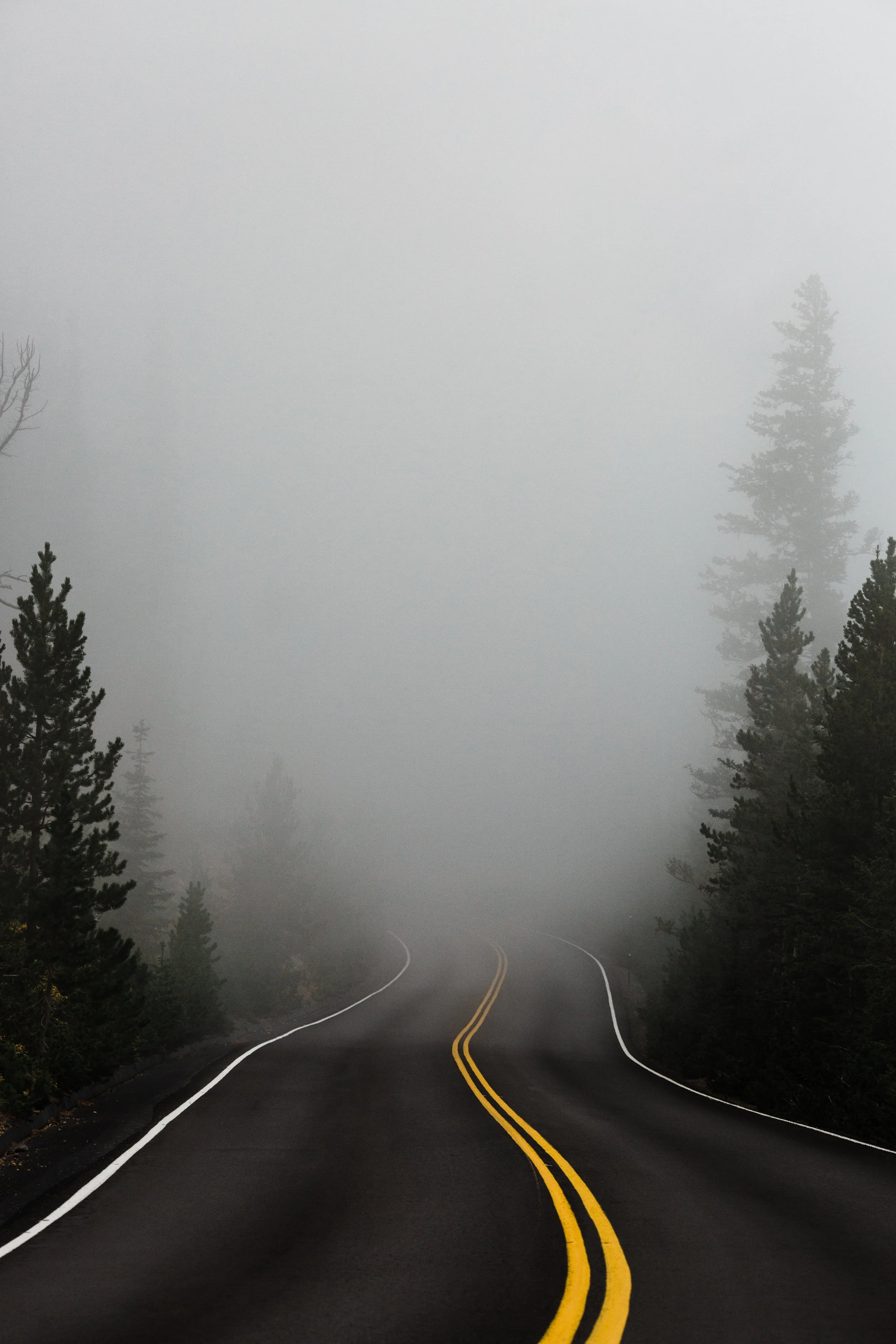 Drive through monkey-mind thoughts to good ideas and then on to great ideas.
