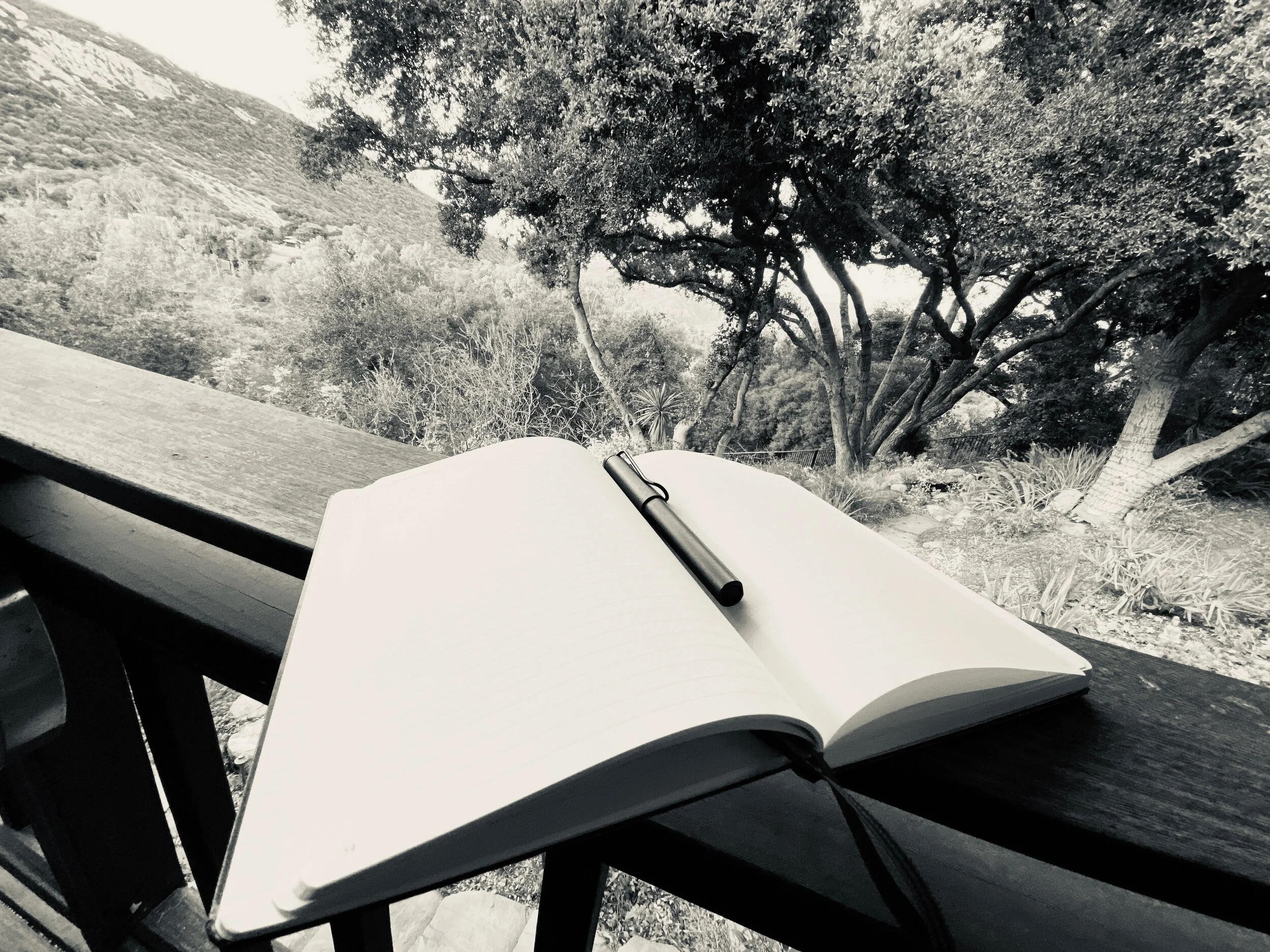 Creative Rebellion Essays: Write it down