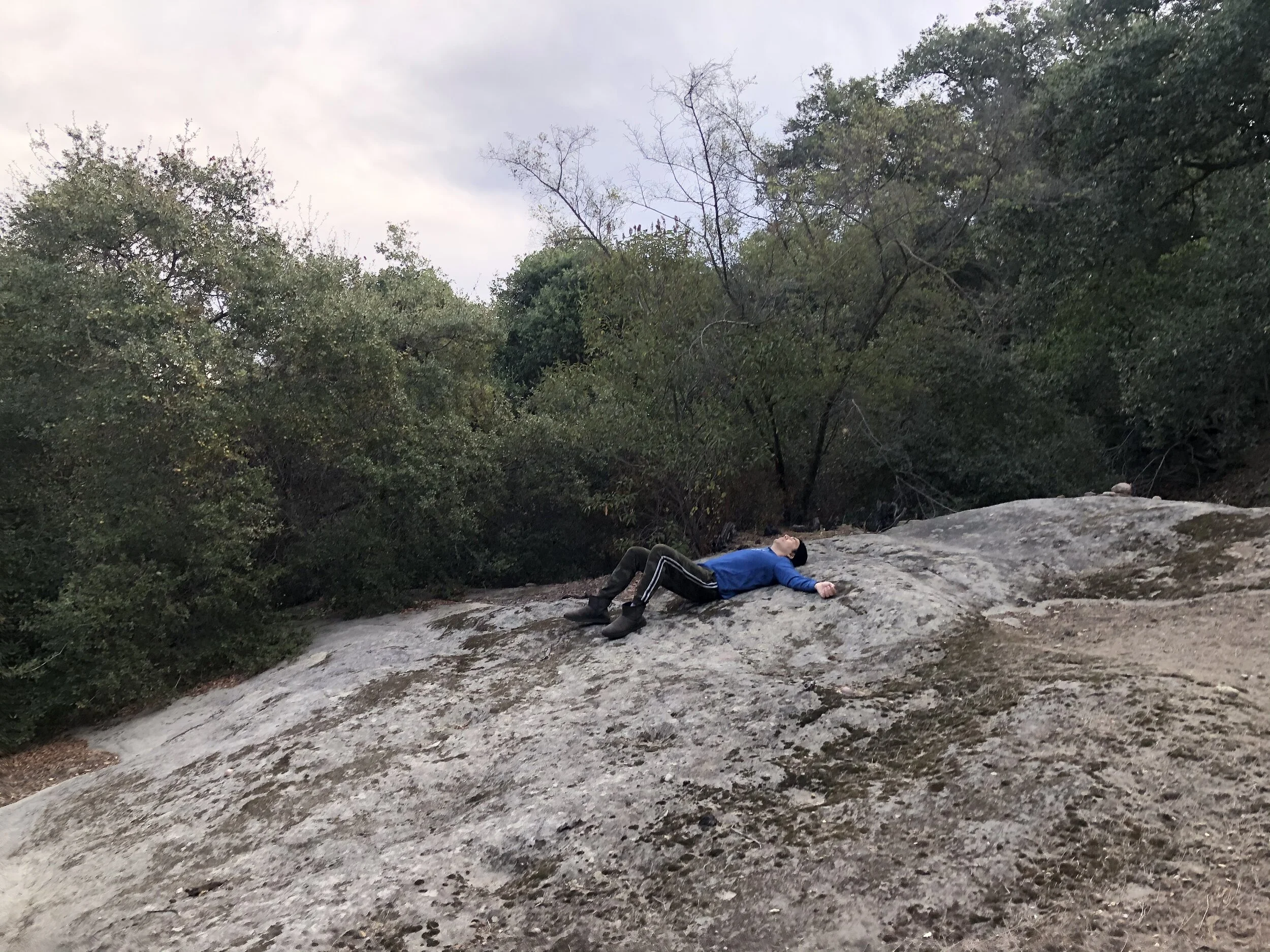 Creative Rebellion Essays: COVID 19 as a Catalyst for Creativity