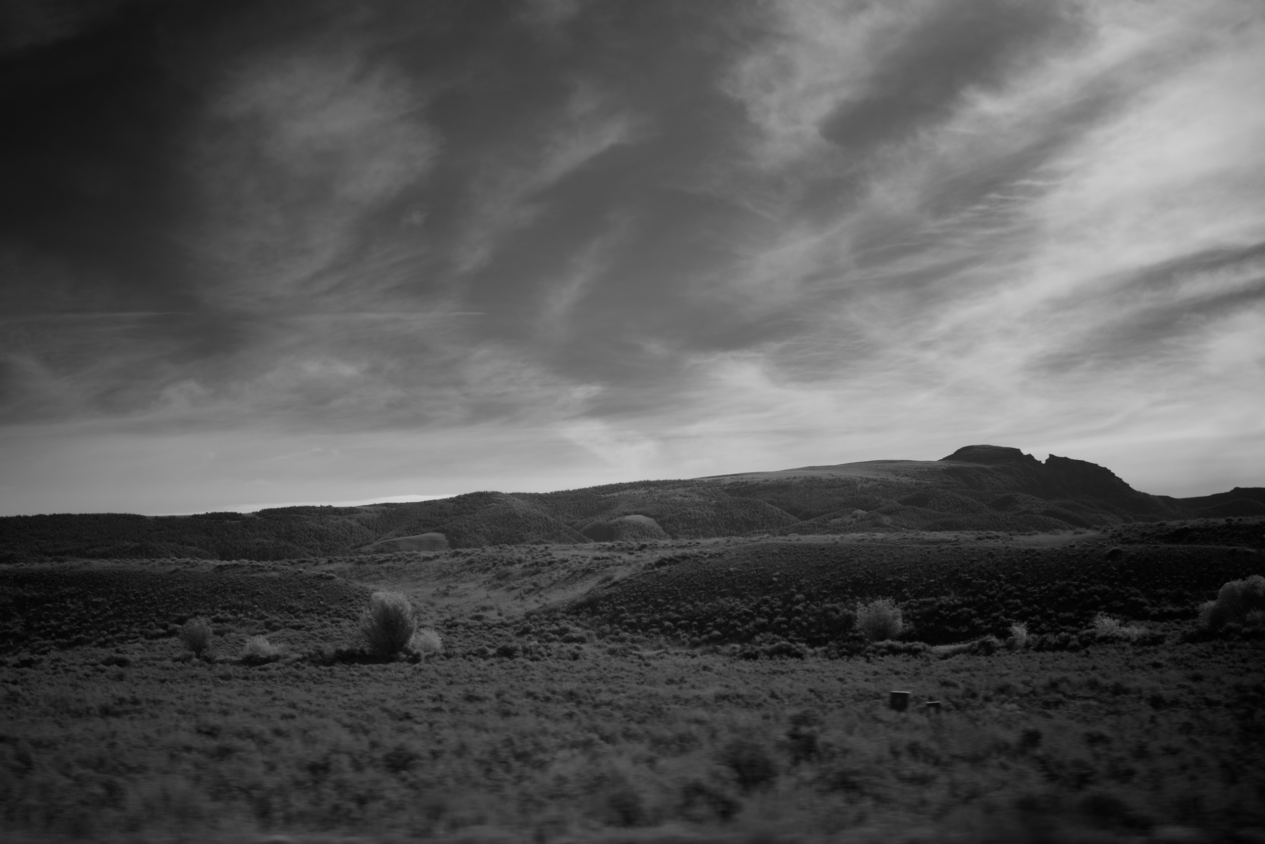 DSC_2048.png