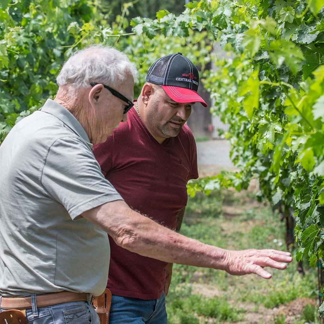 Square Image_Mentors.jpg