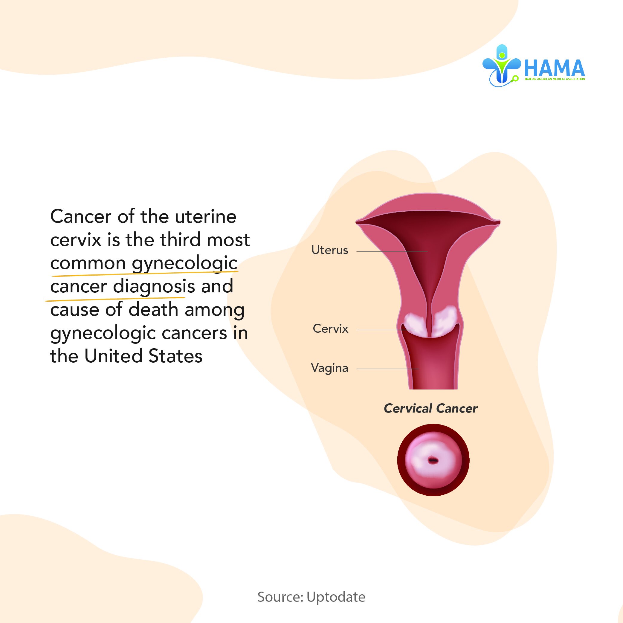 cervical-01.jpg