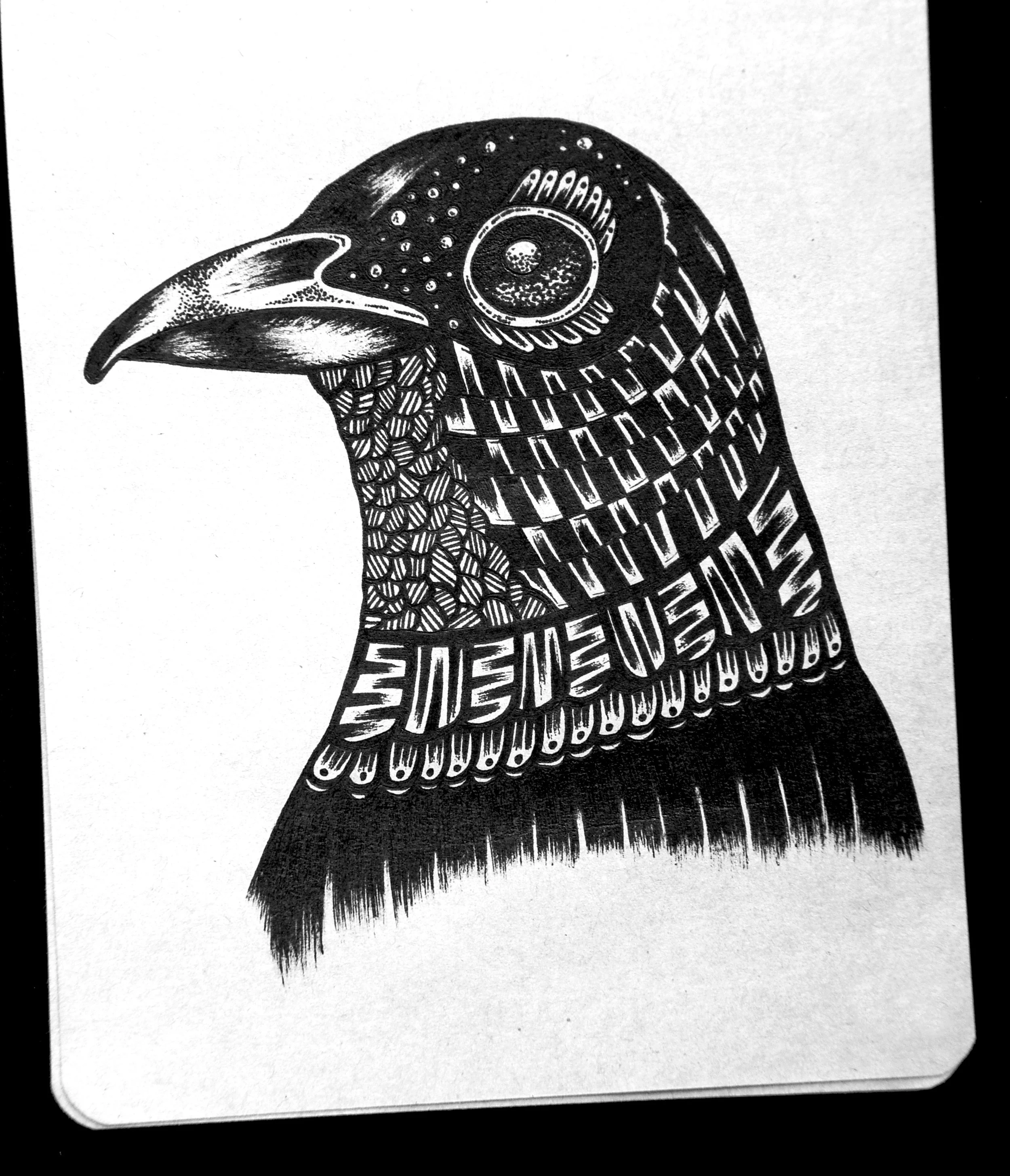 Passeridae