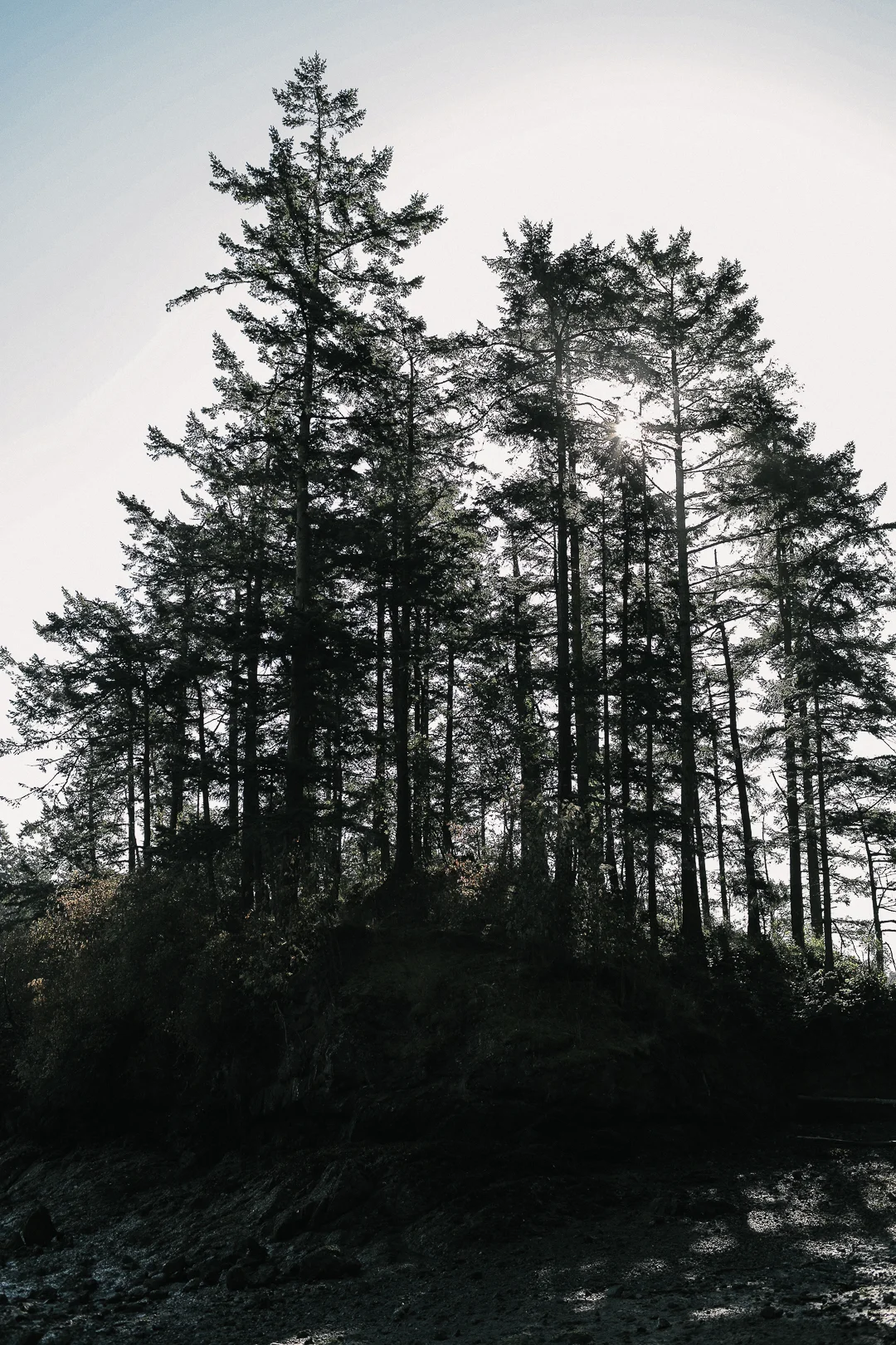 Cliffs