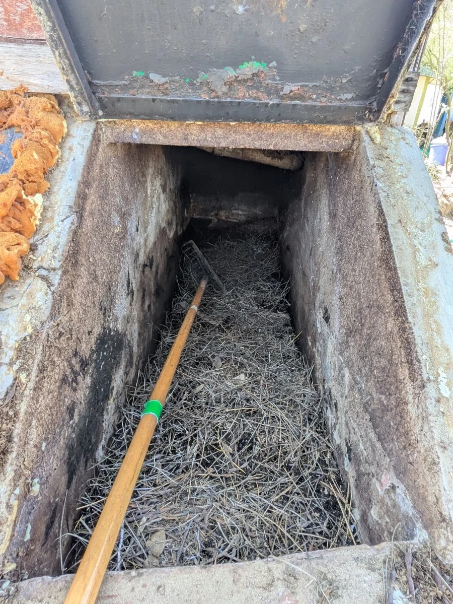 dry toilet 1.1MB.jpg