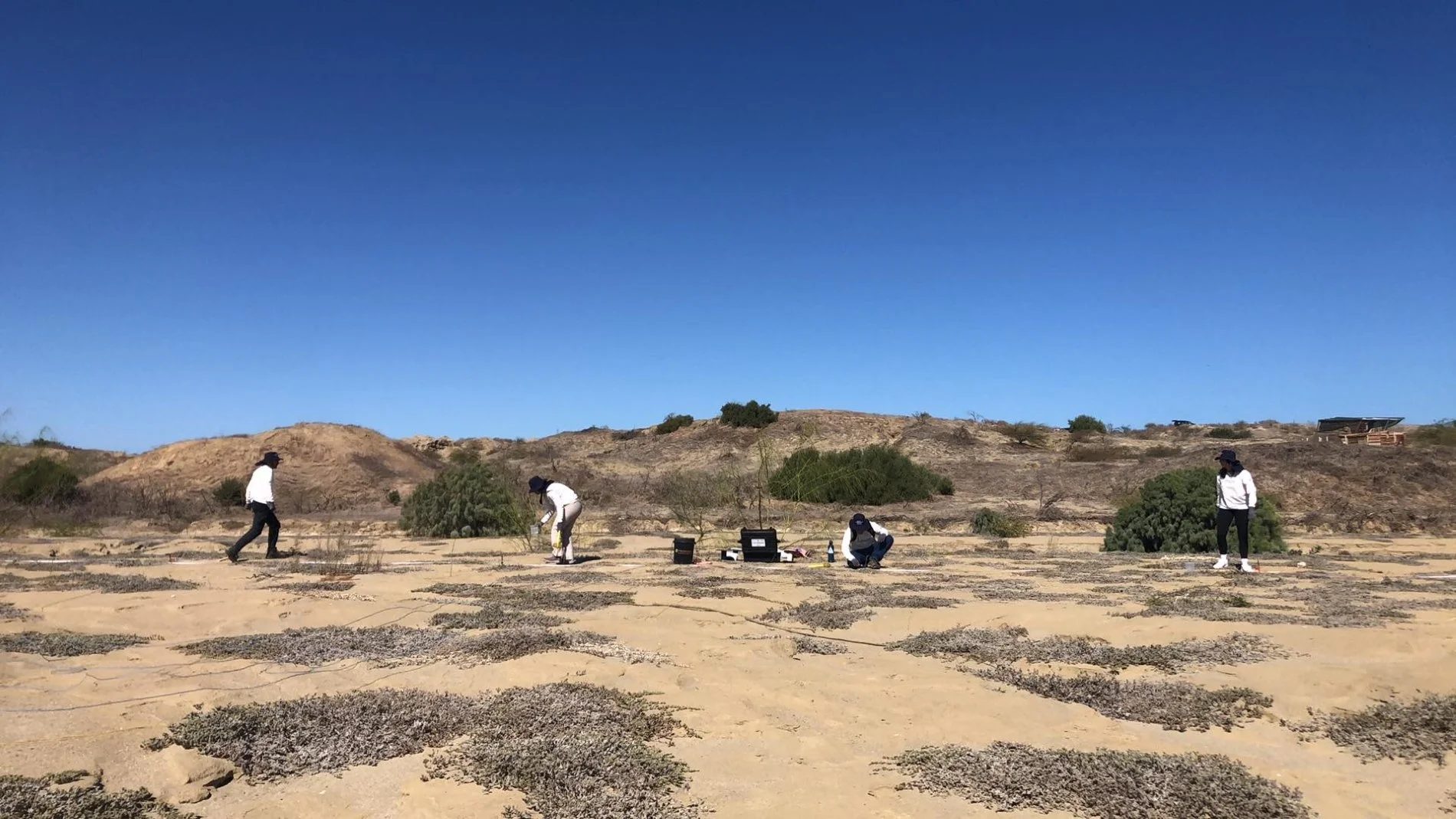 watsan field 1MB.jpg