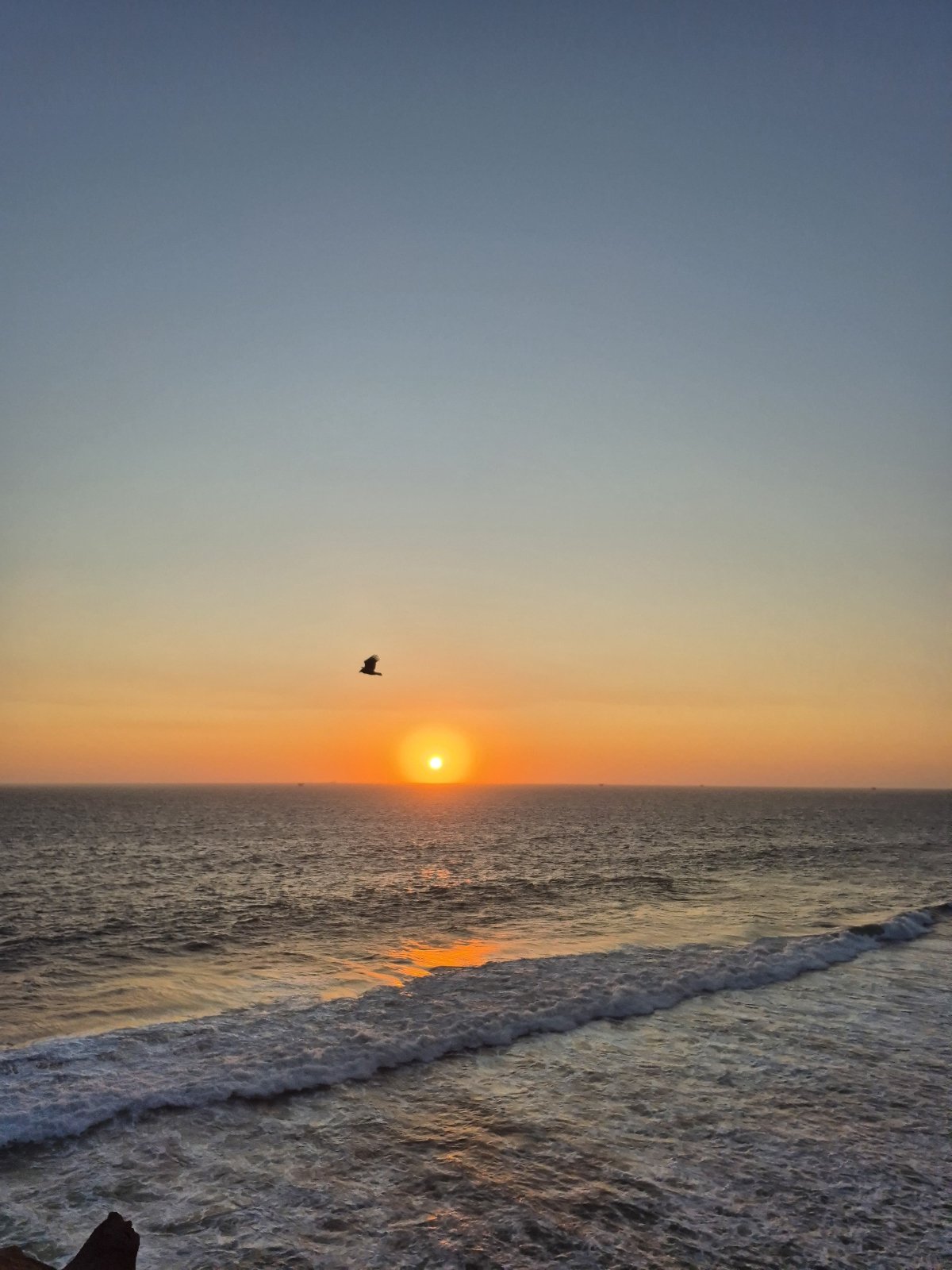 sunset 900KB.jpg