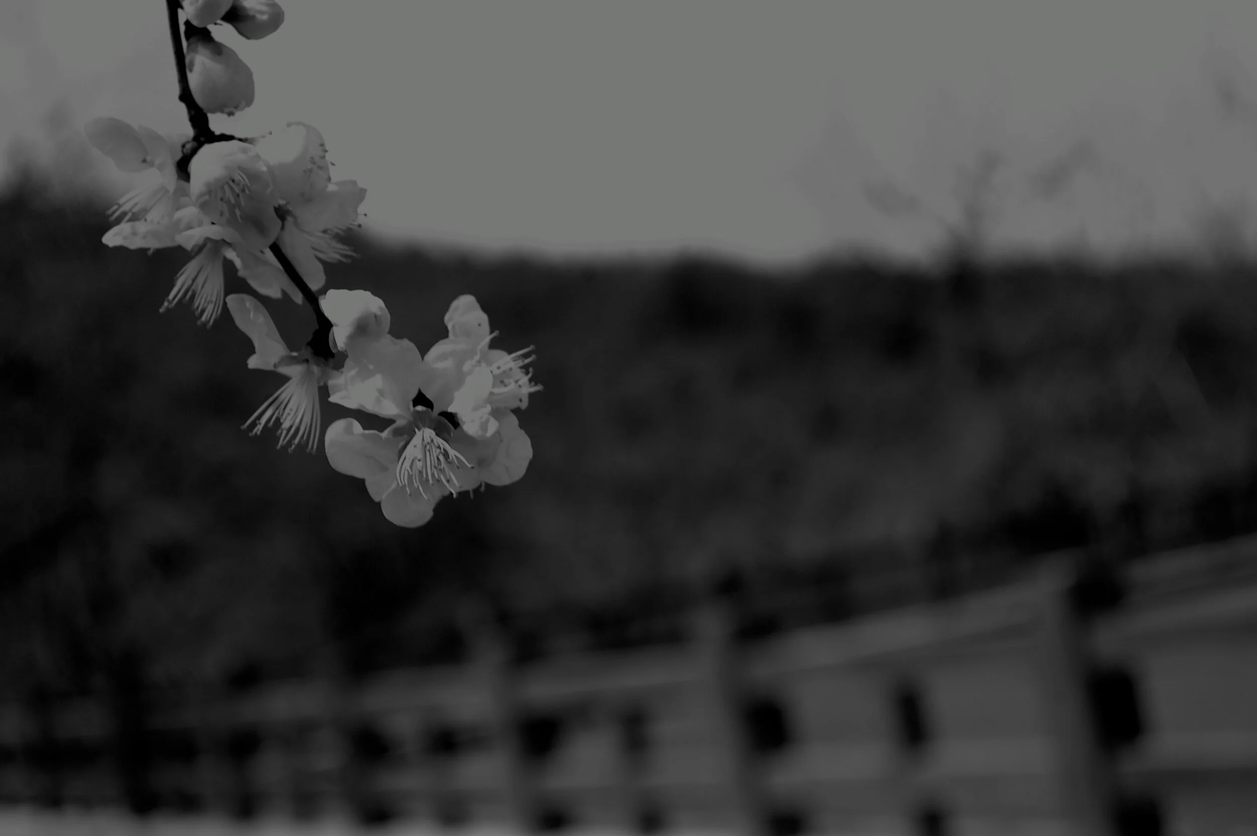 正是当年 The Right Time.jpg