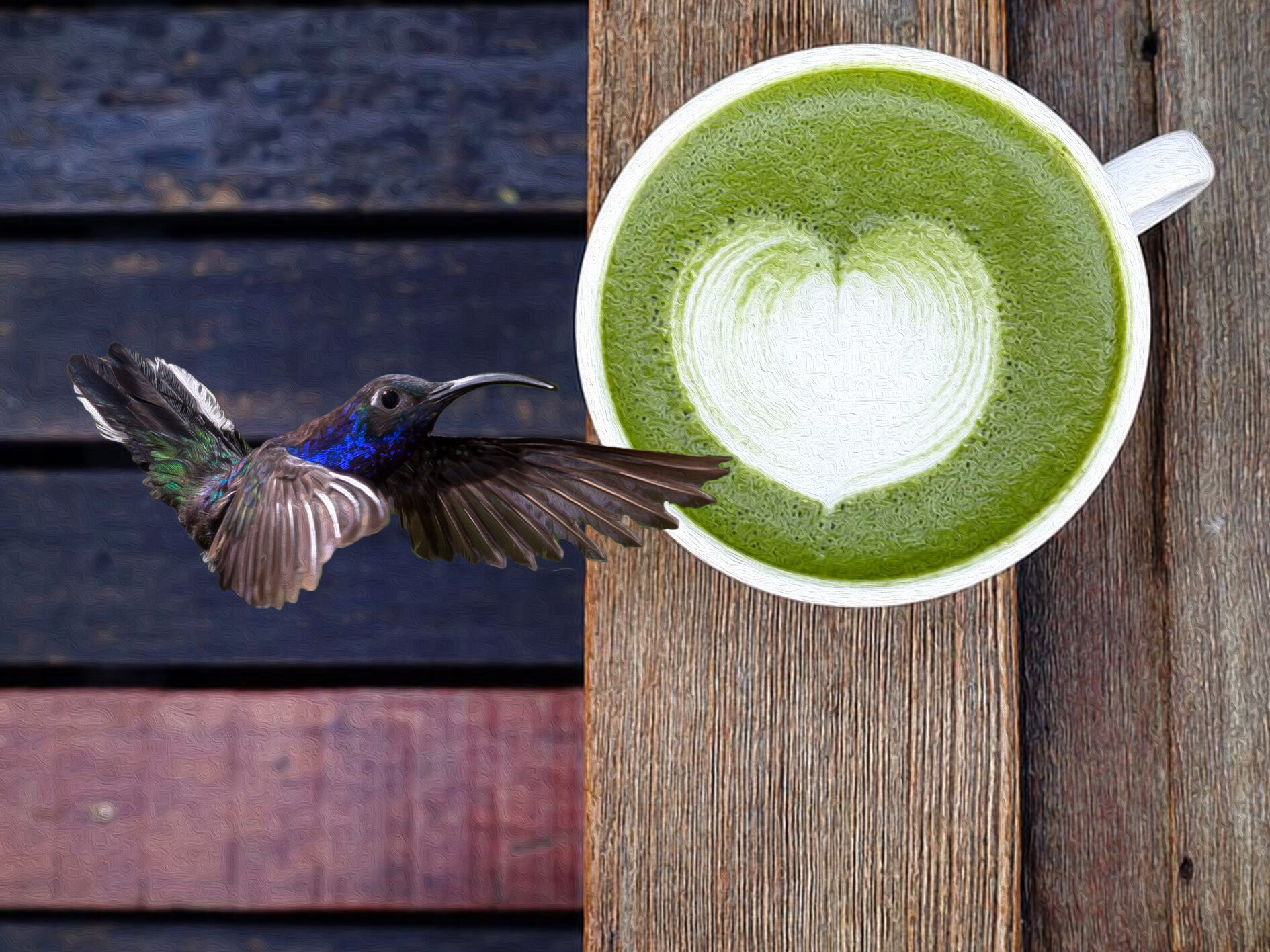 [Matcha Latte Coffee] Hummingbird Latte