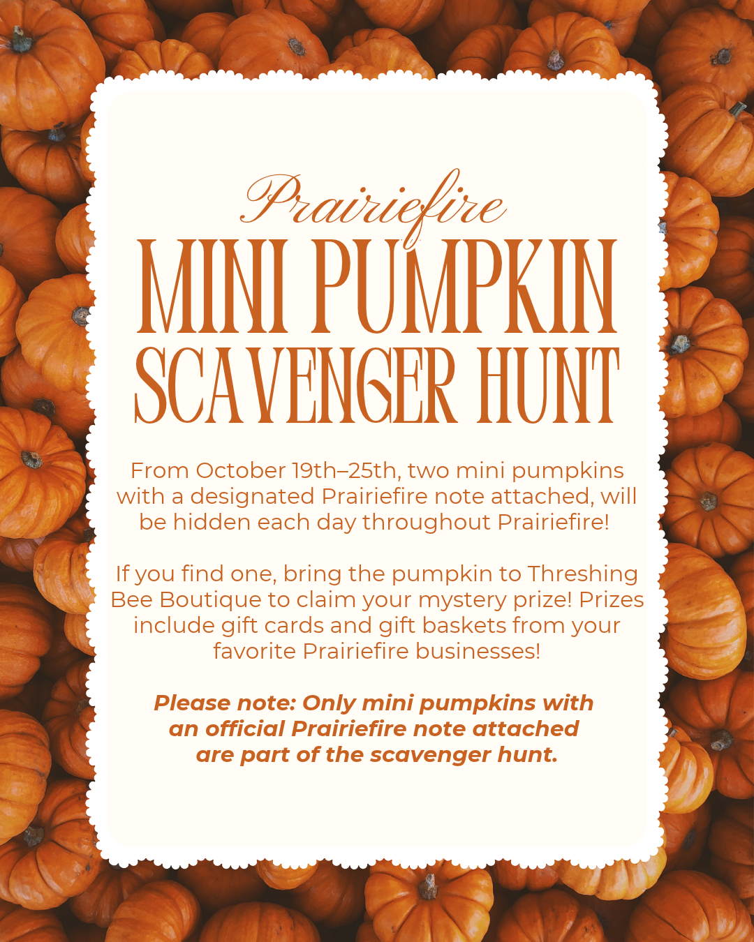 Mini Pumpkin Scavenger Hunt