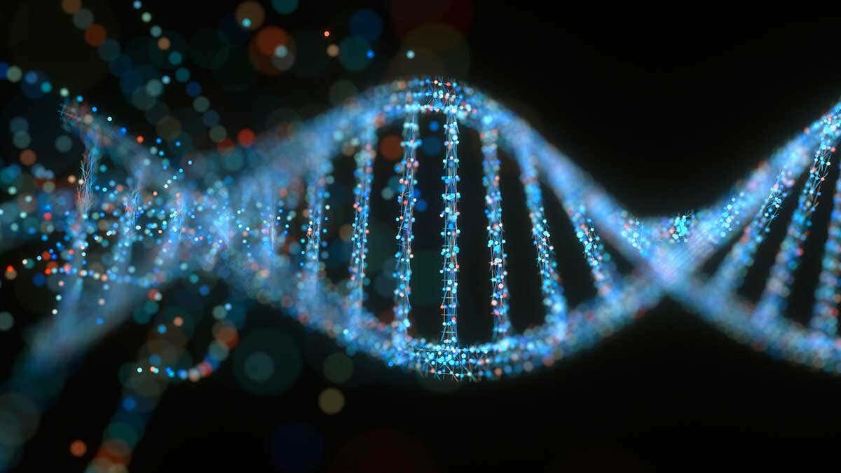 GOD'S DNA IS THE BREATH OF LIFE (Part one)