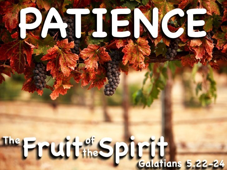 The Precious Fruit of Patience