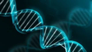 GOD'S DNA