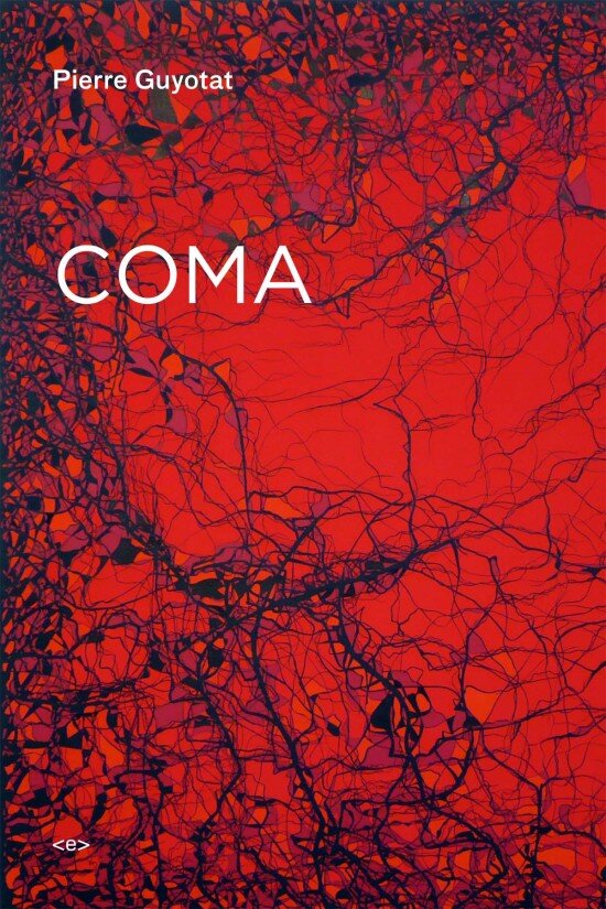 On Pierre Guyotat's "Coma"