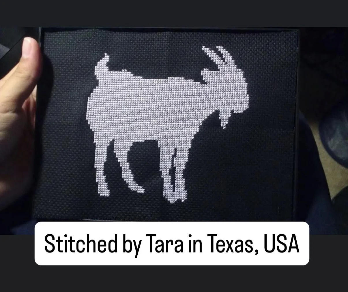 02190241-F036-489B-A504-E36D6F91F835.jpeg