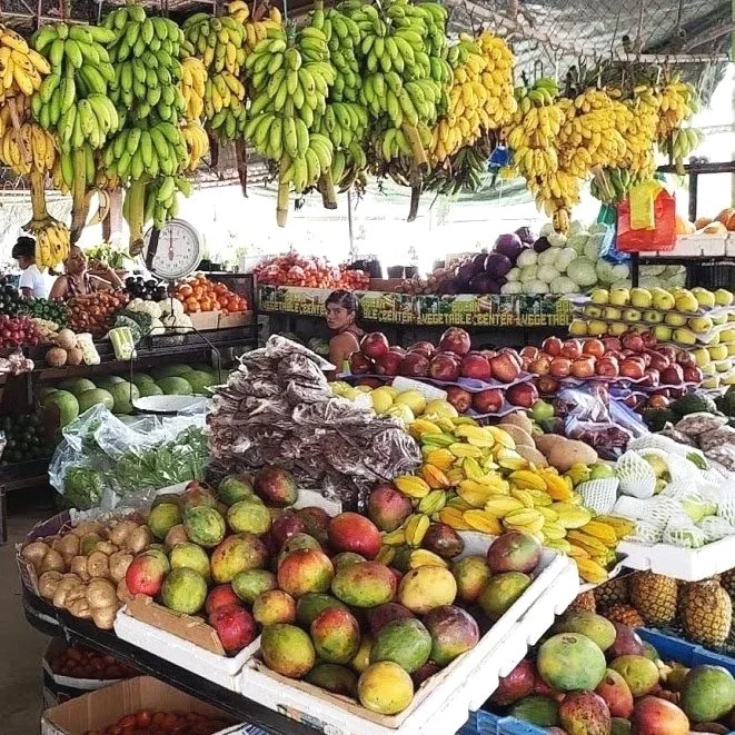 san-ignacio-market.jpg