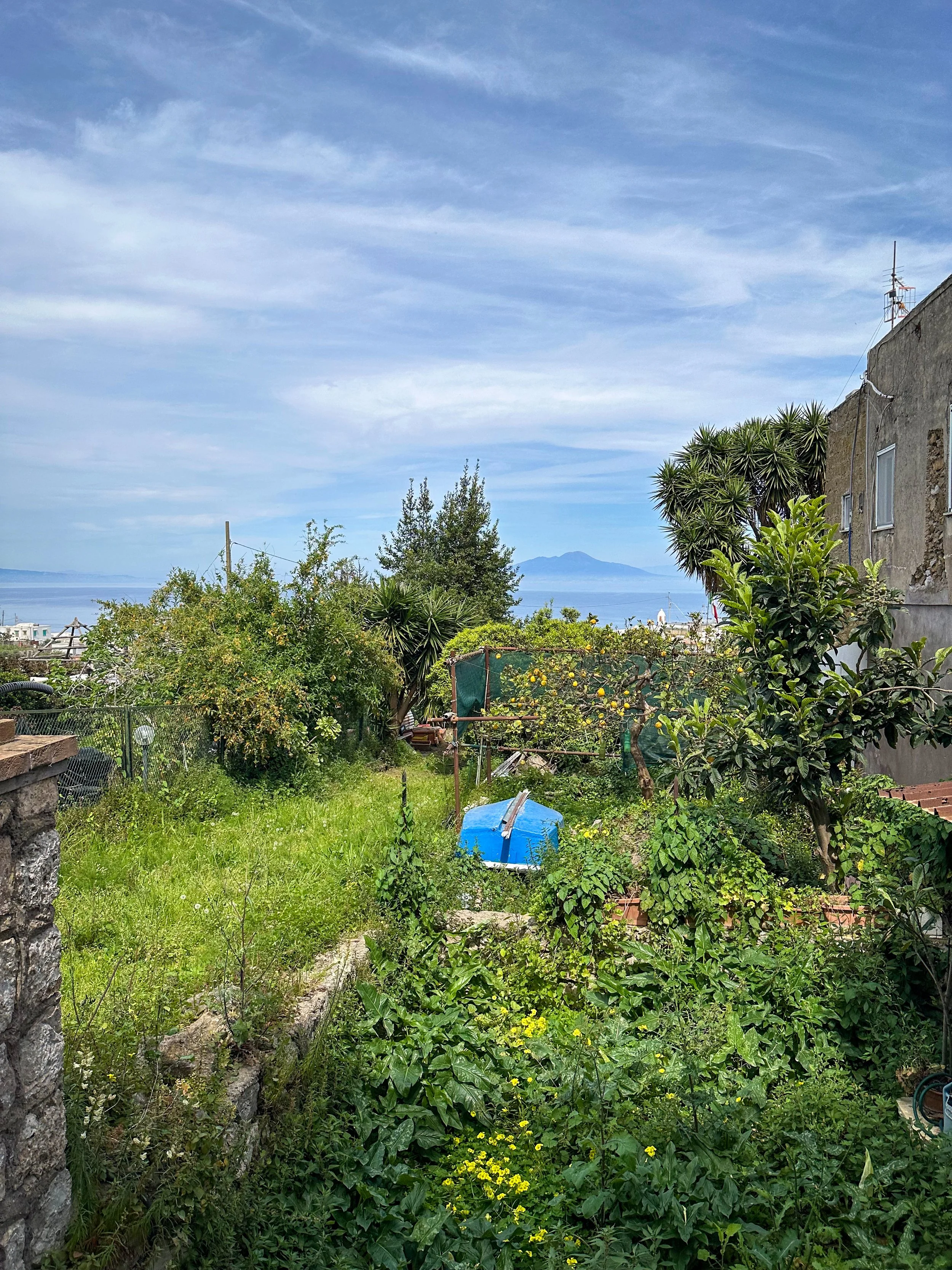 Ohhhh no, this did not look familiar