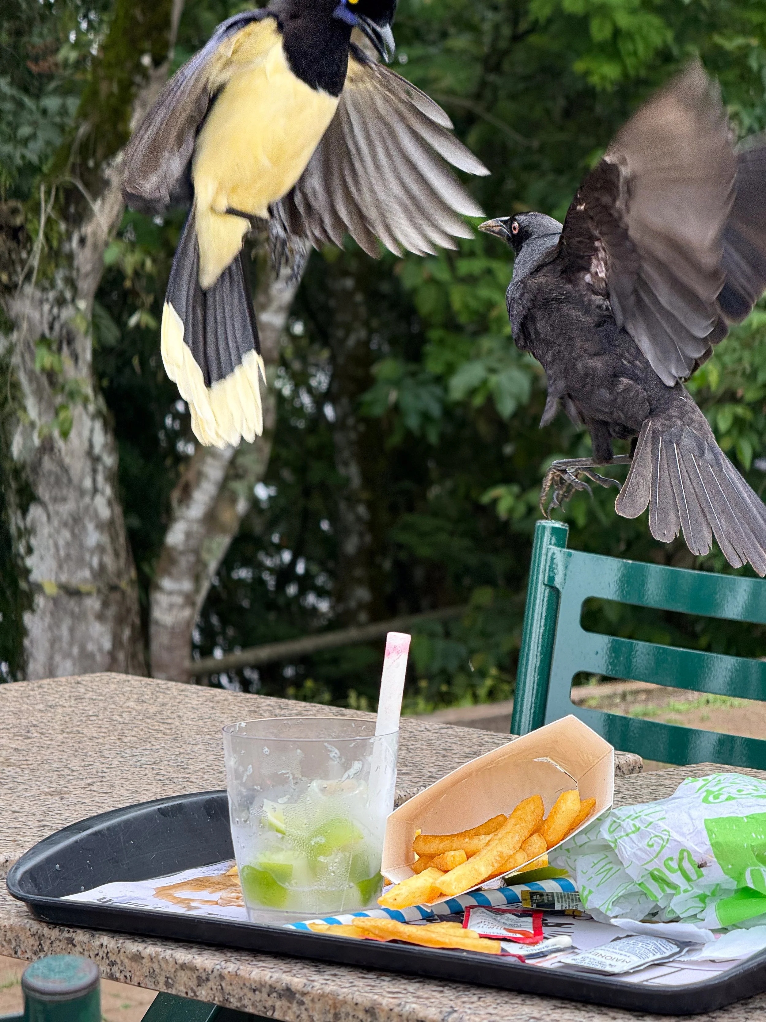 IMG_0812-edit.jpg