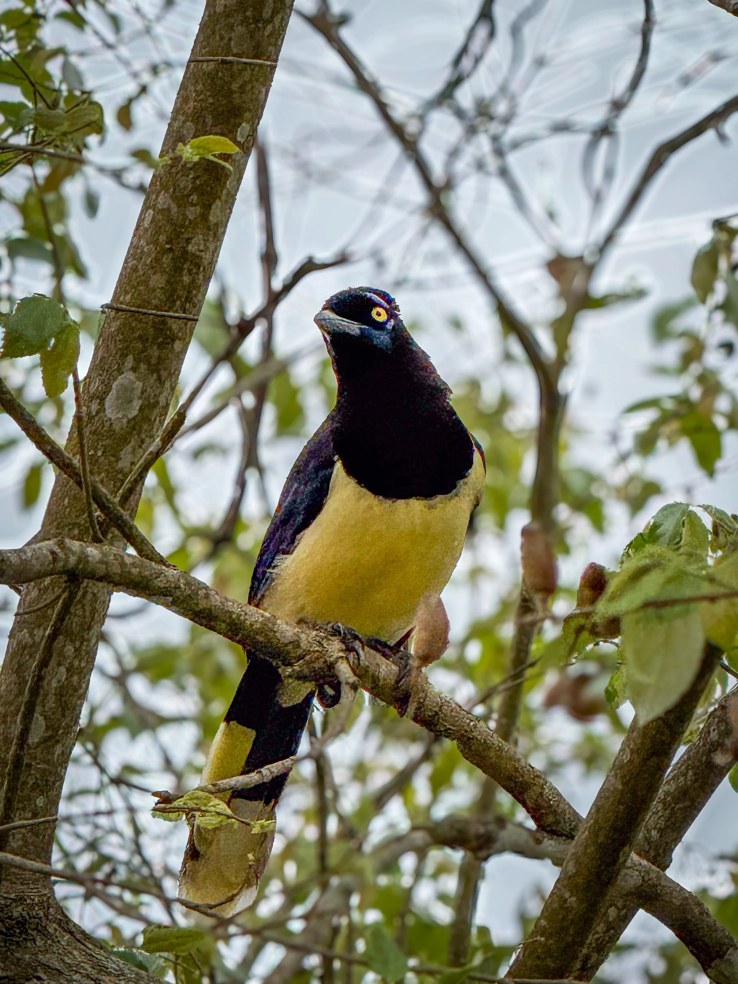 IMG_0831-edit.jpg