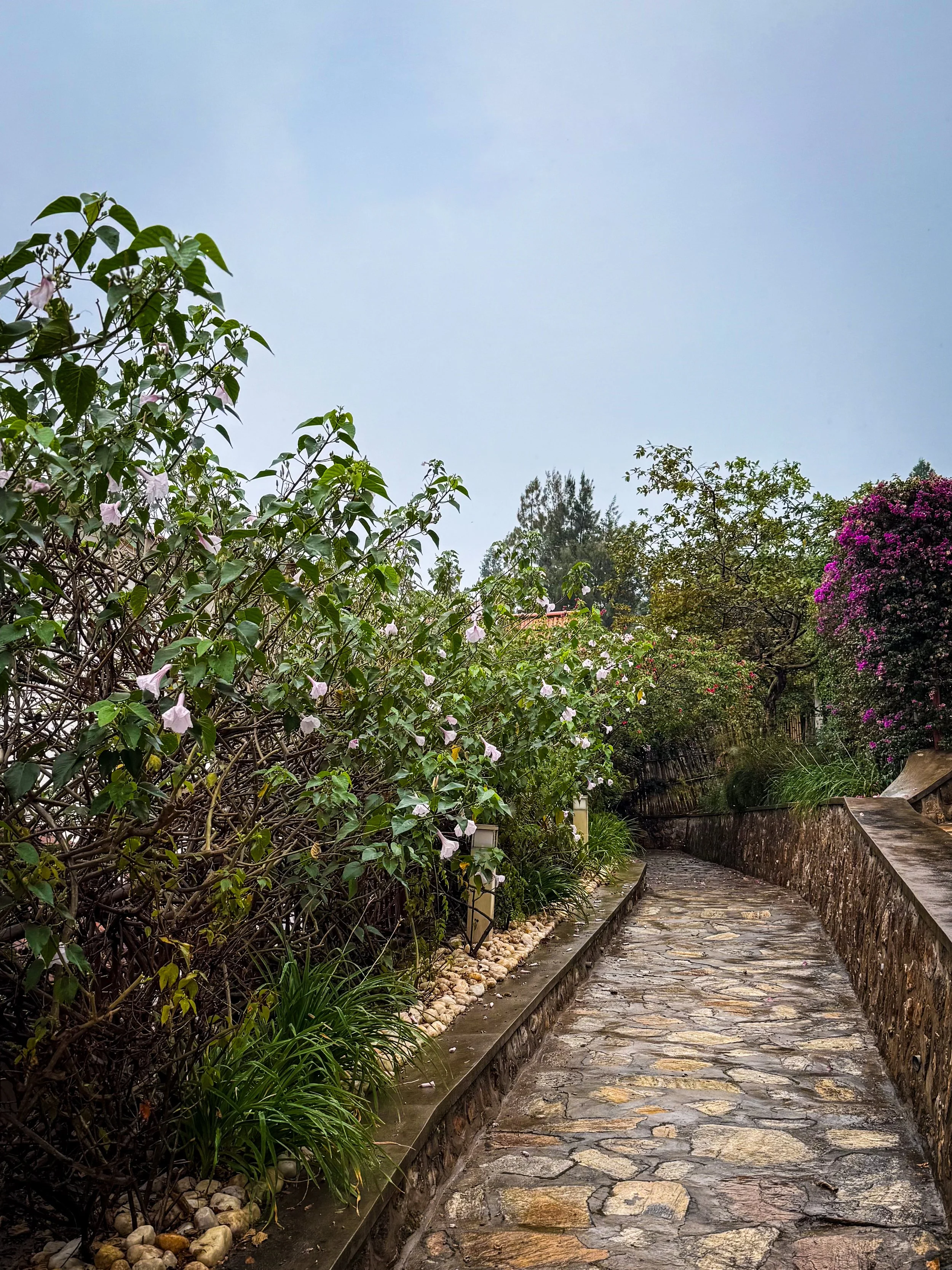 IMG_4766-edit.jpg