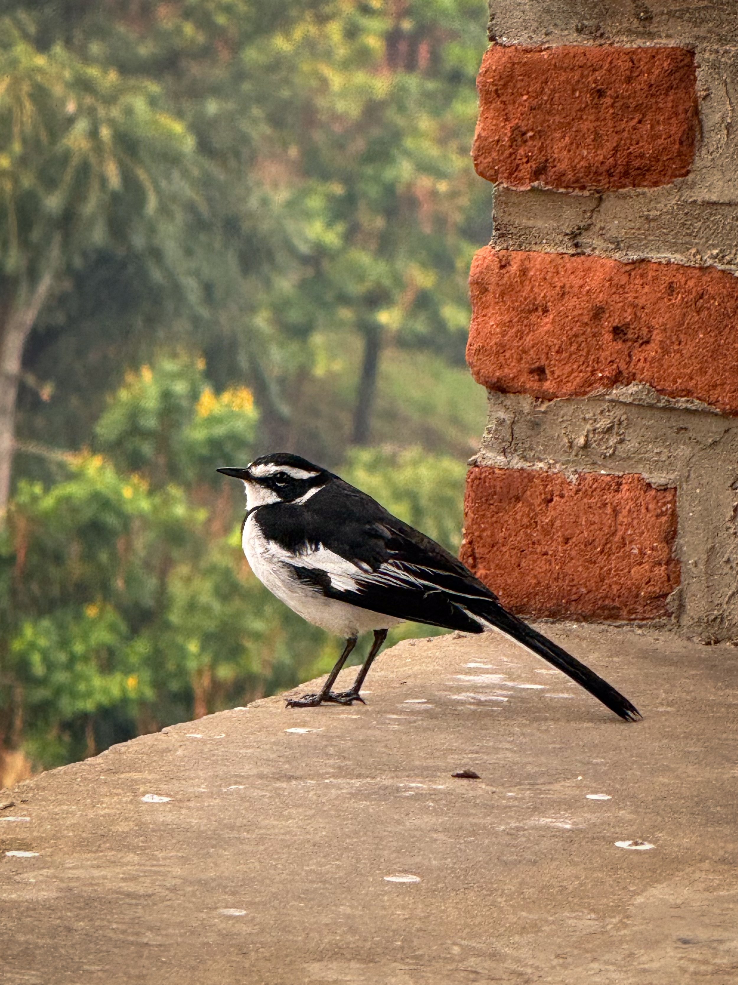 IMG_4798-edit.jpg