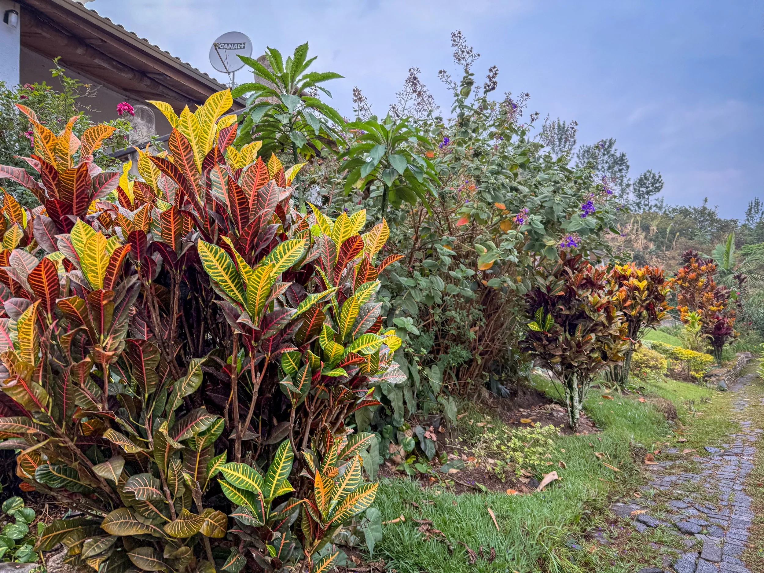 IMG_4868-edit.jpg