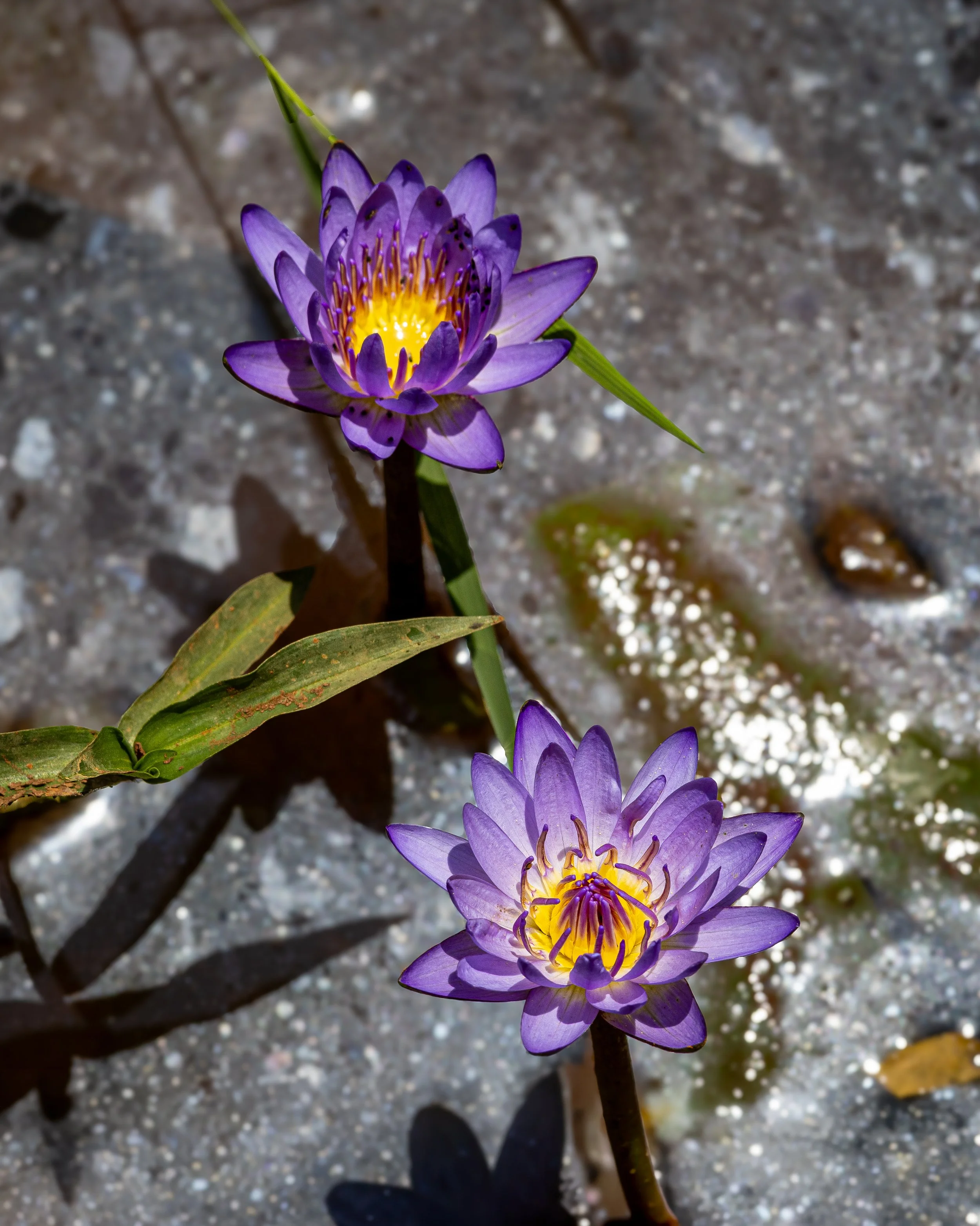 0J5A4014-Edit-edit.jpg