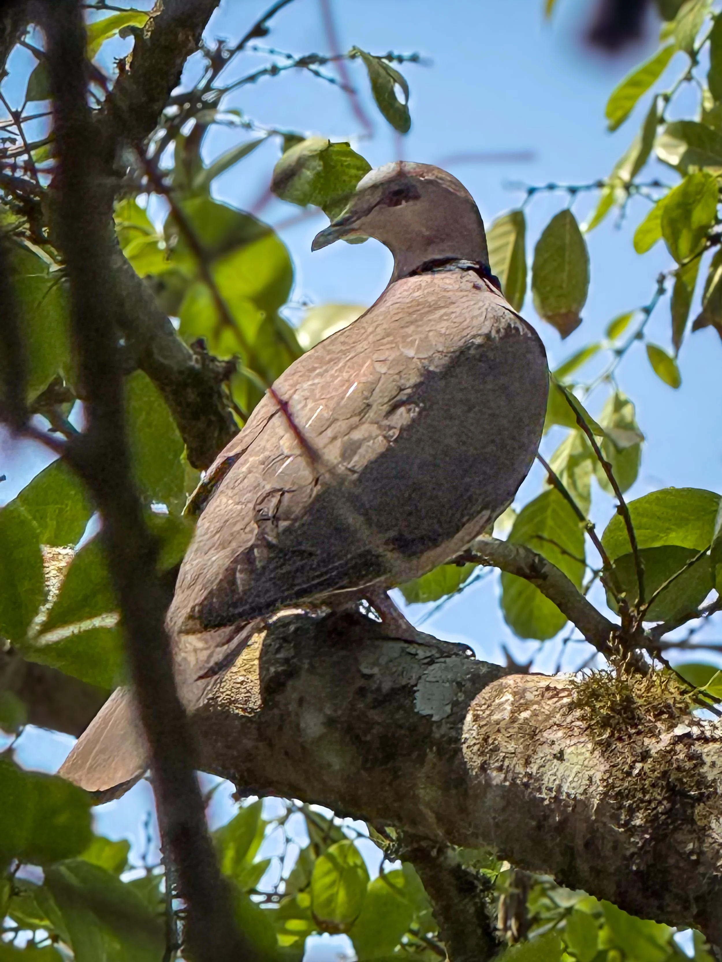 IMG_3605-edit.jpg