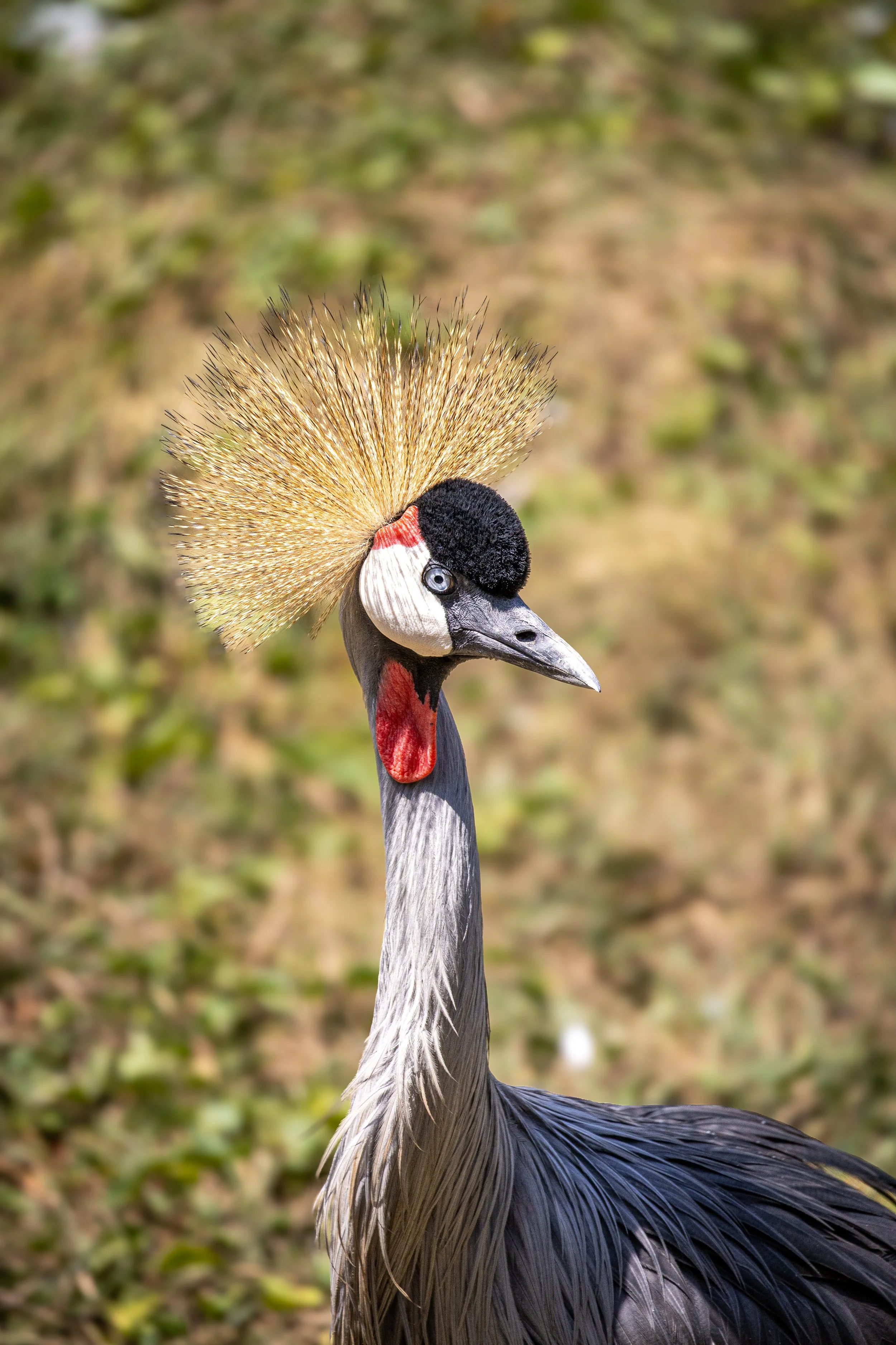 0J5A4090-edit.jpg