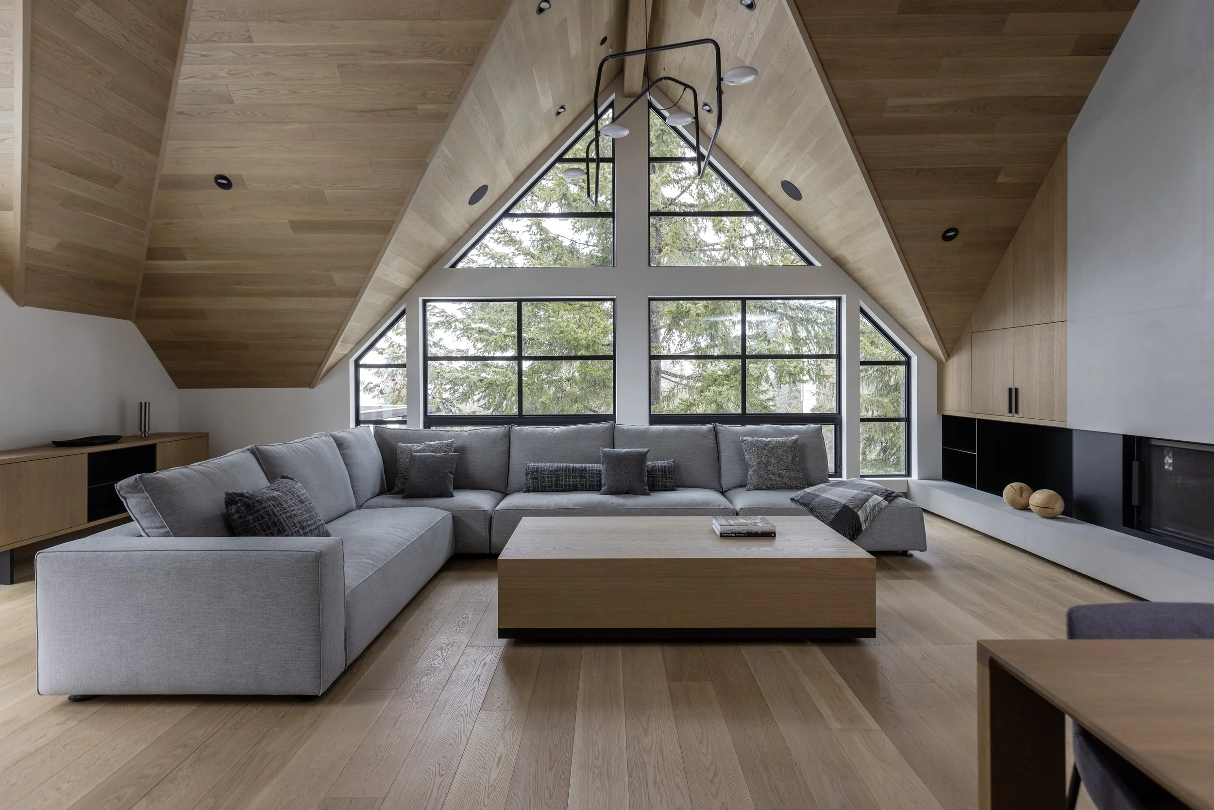 Alpine Modern