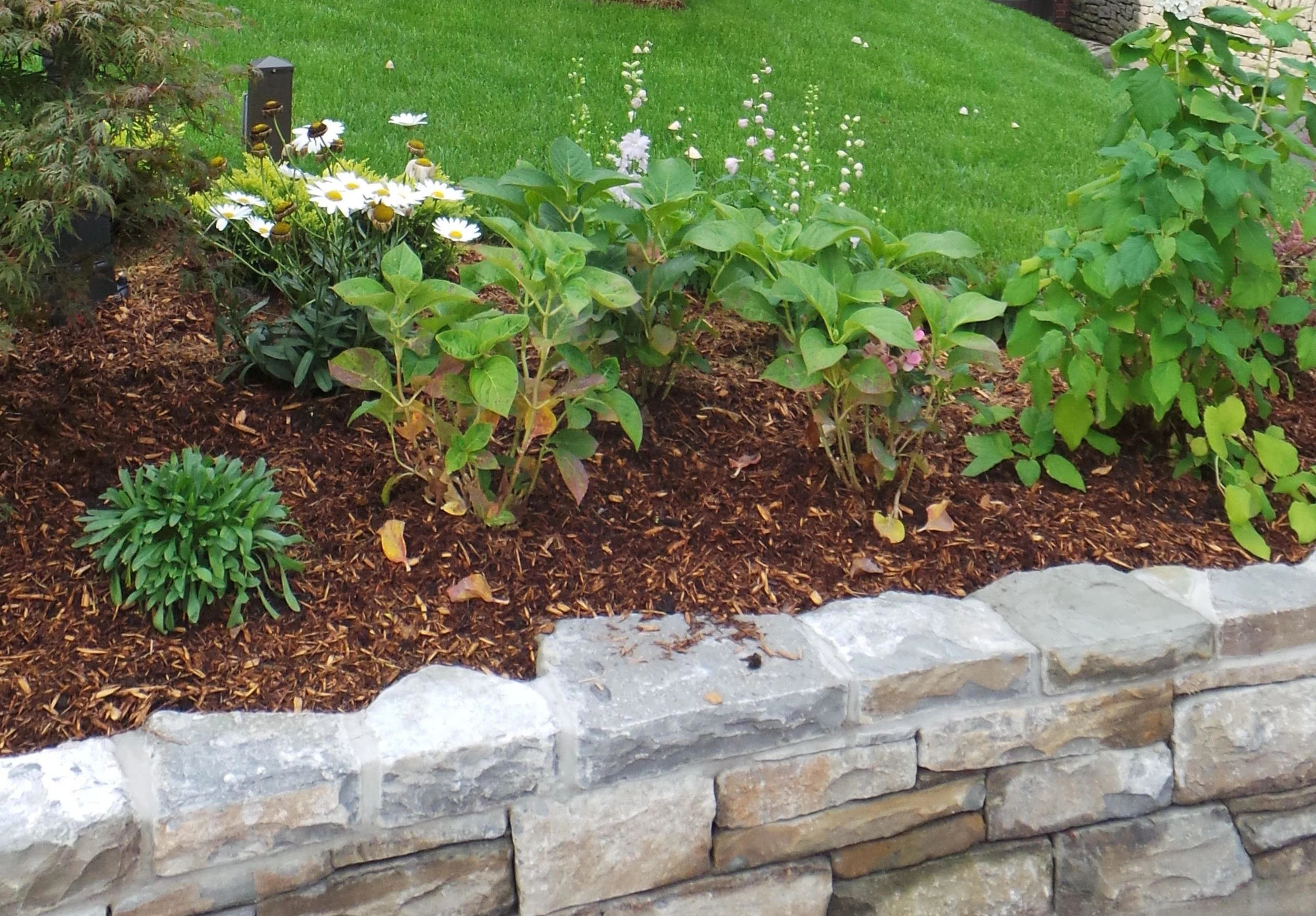 Apply Online — DSM Investments