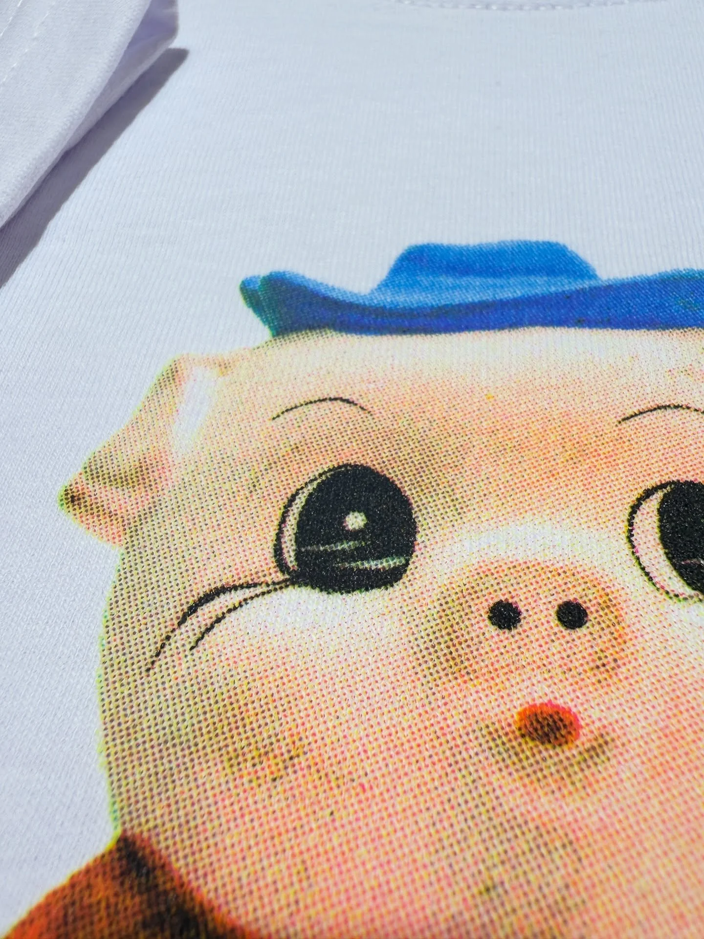 Some favorites from a collab with our friends @in_thewindowseat &bull; they&rsquo;re celebrating two years tonight, featuring all these special goods. Congrats y&rsquo;all! 🐎 🤠 ⭐️ ⭐️ 

#screenprinting #embroidery #doubleyourluck #boston #salem #cmy