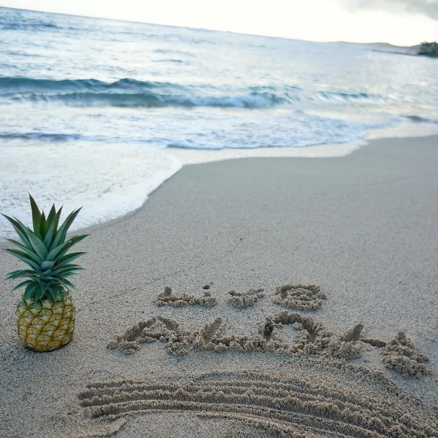 Aloha NYC! We are back 🍍Our business hours will be Mon-Fri 12pm-8pm. Taste aloha through delivery or outdoor dining. So excited to see you! #livealoha .
.
.
.
#hawaiianfood #eatwell #foodislove #eaternyc #thrillist #infatuation #feastagram #hungryhu