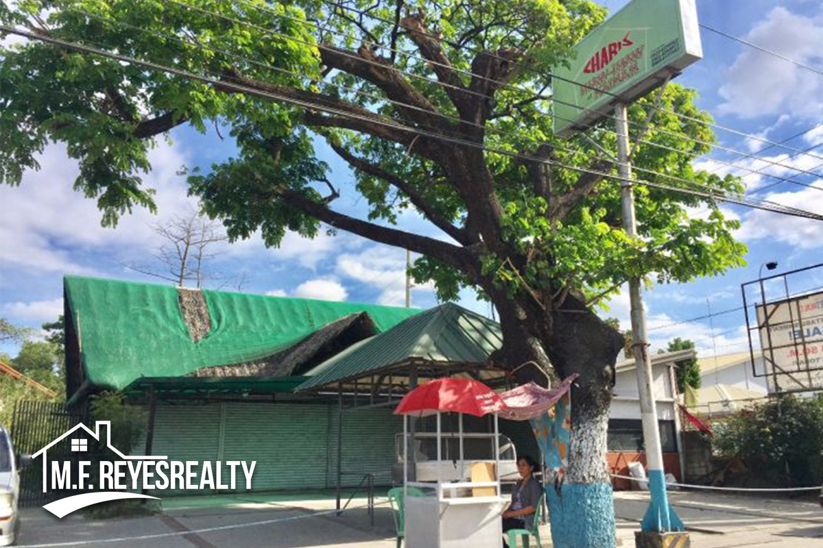 Comb001 Charis (1).jpg