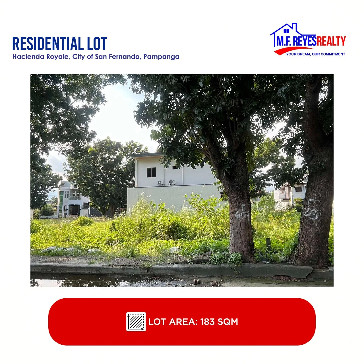 FOR SALE | 183 sqm |  Hacienda Royale, Telabastagan, City of San Fernando, Pampanga