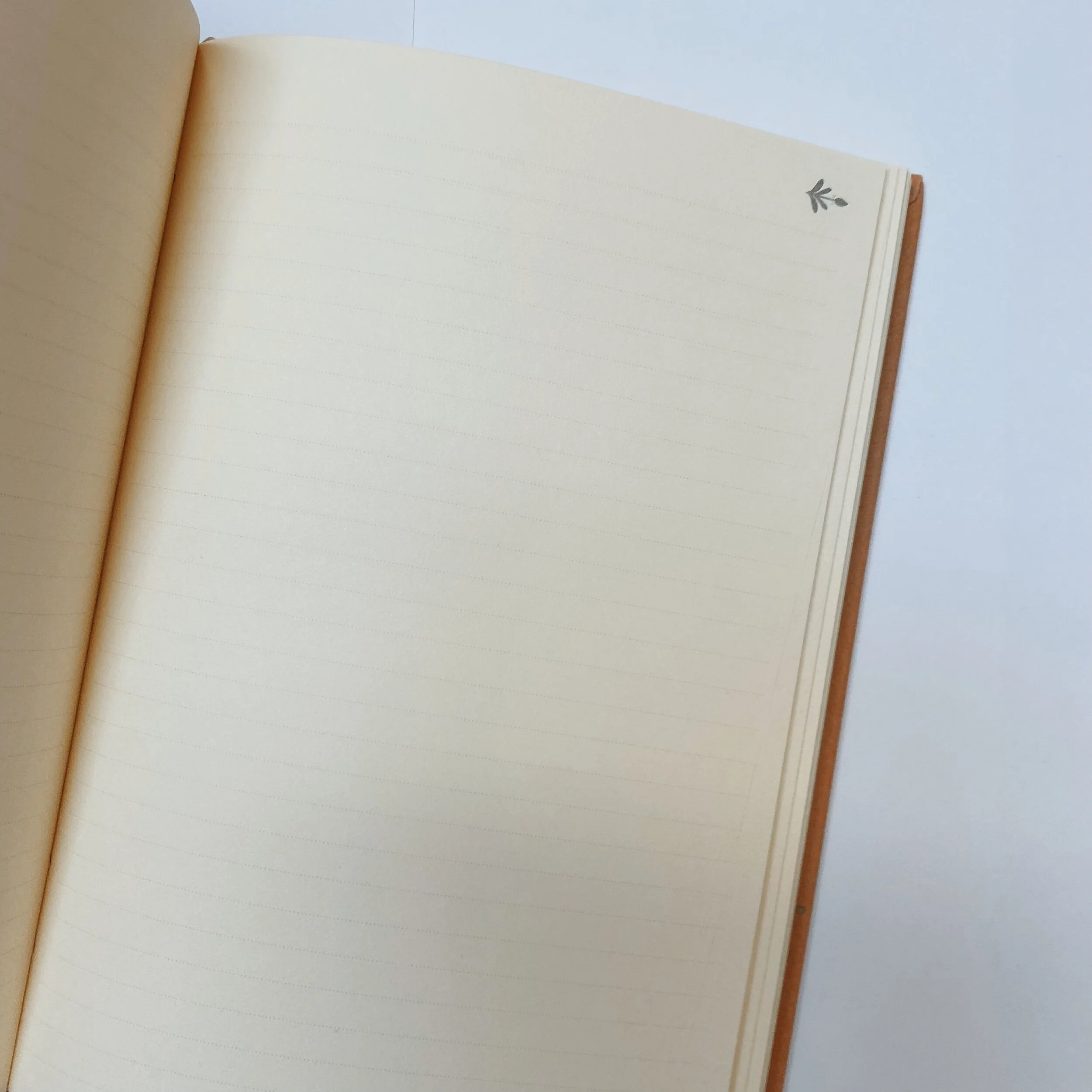 A678CFDA-0441-4E5B-BCDA-F900B3352576