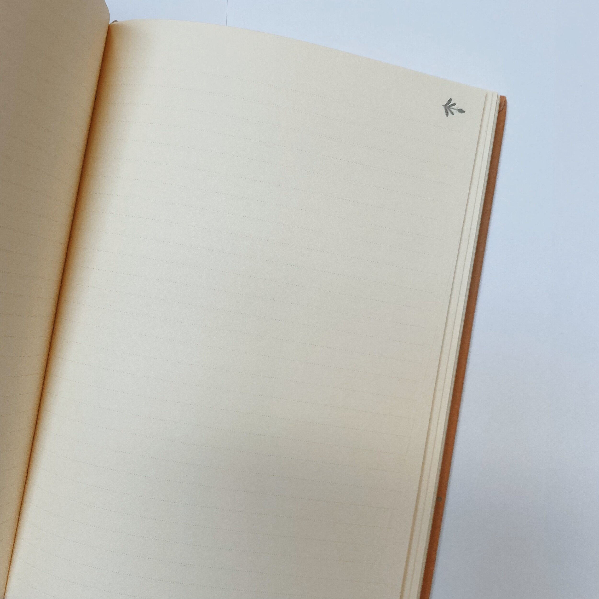 B5549F14-596B-462E-8F79-3B01B8D7F923